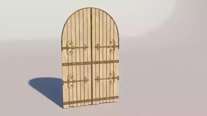 Medieval Fantasy Door