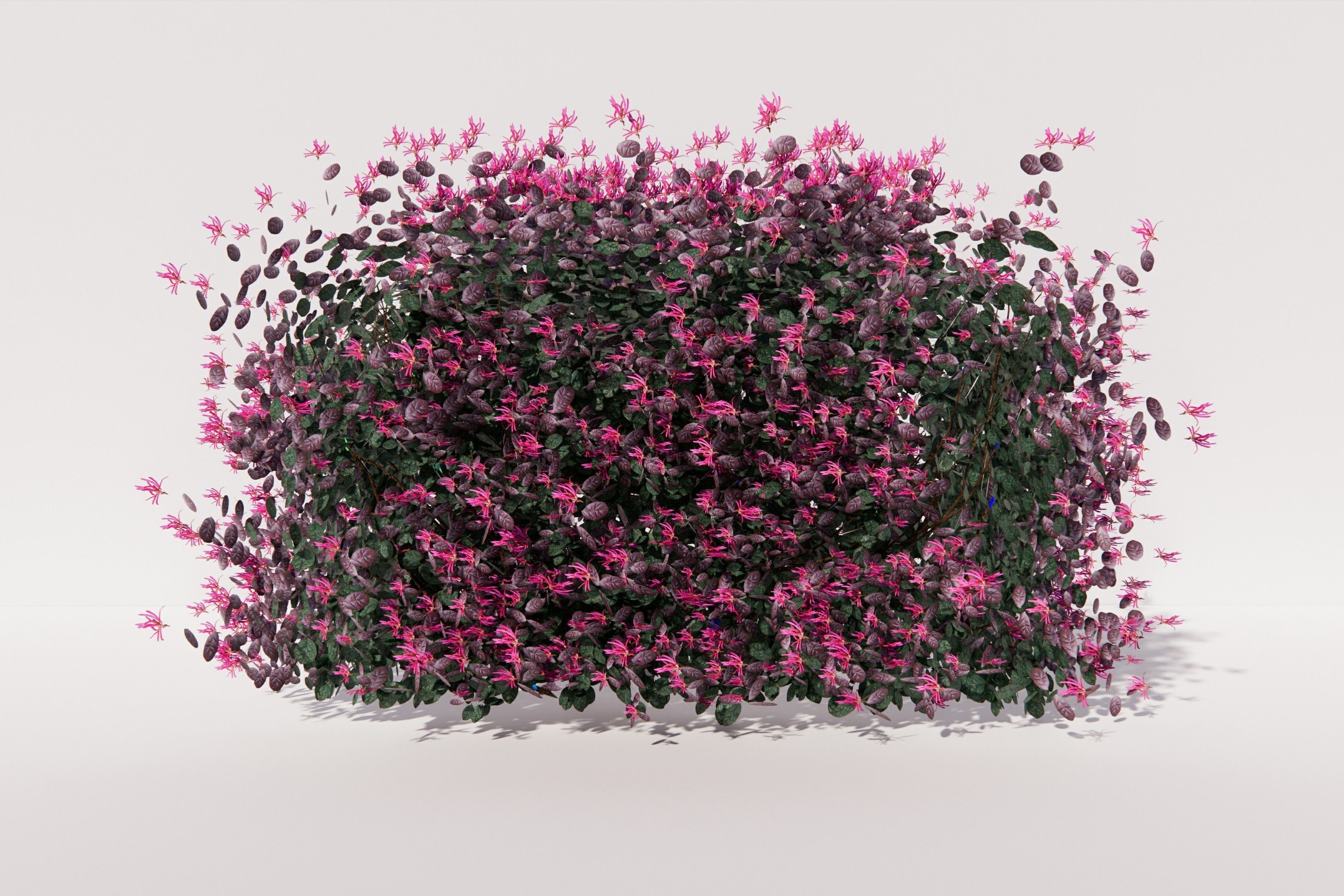 Bushballs hedges 3D model_2