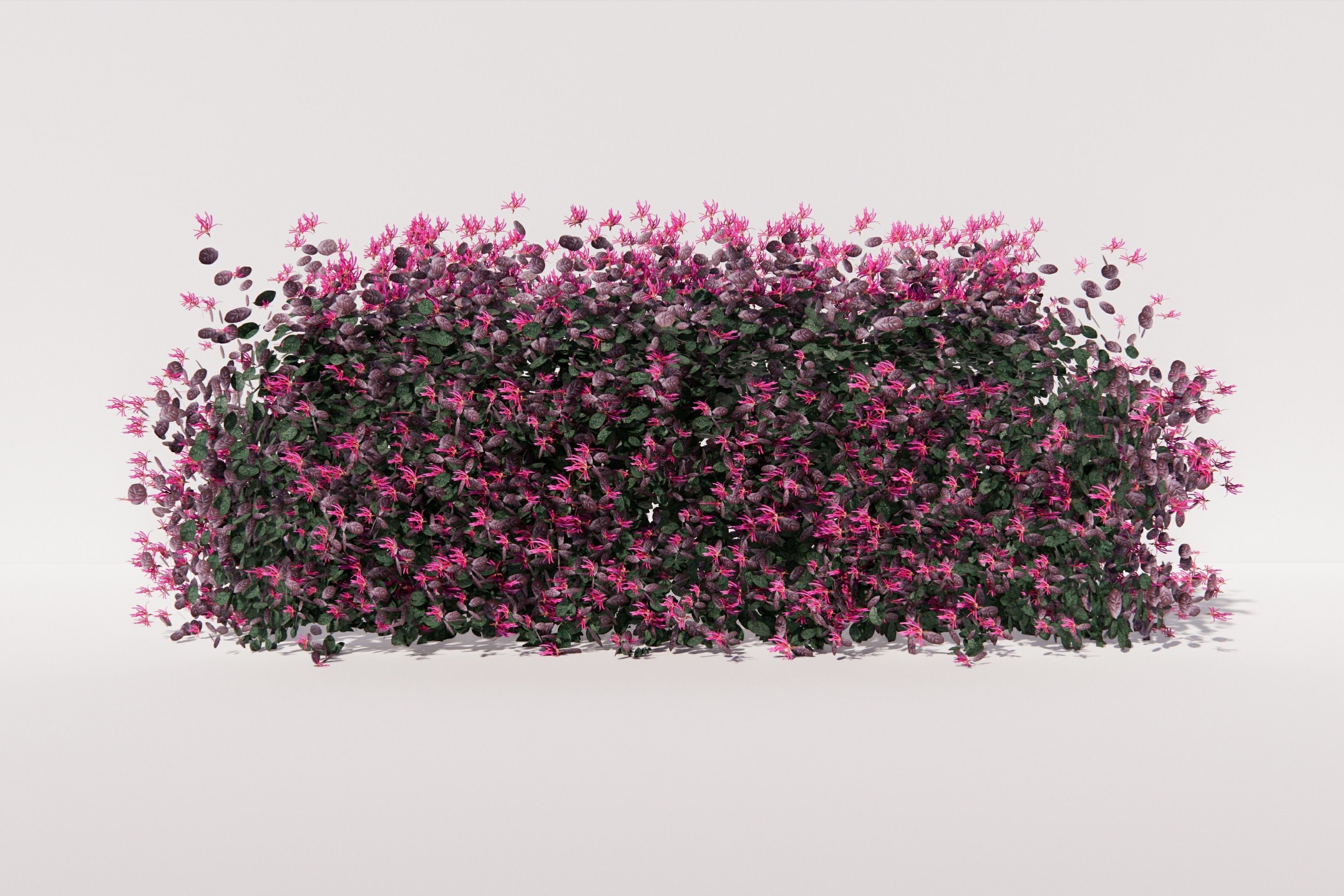 Bushballs hedges 3D model_3