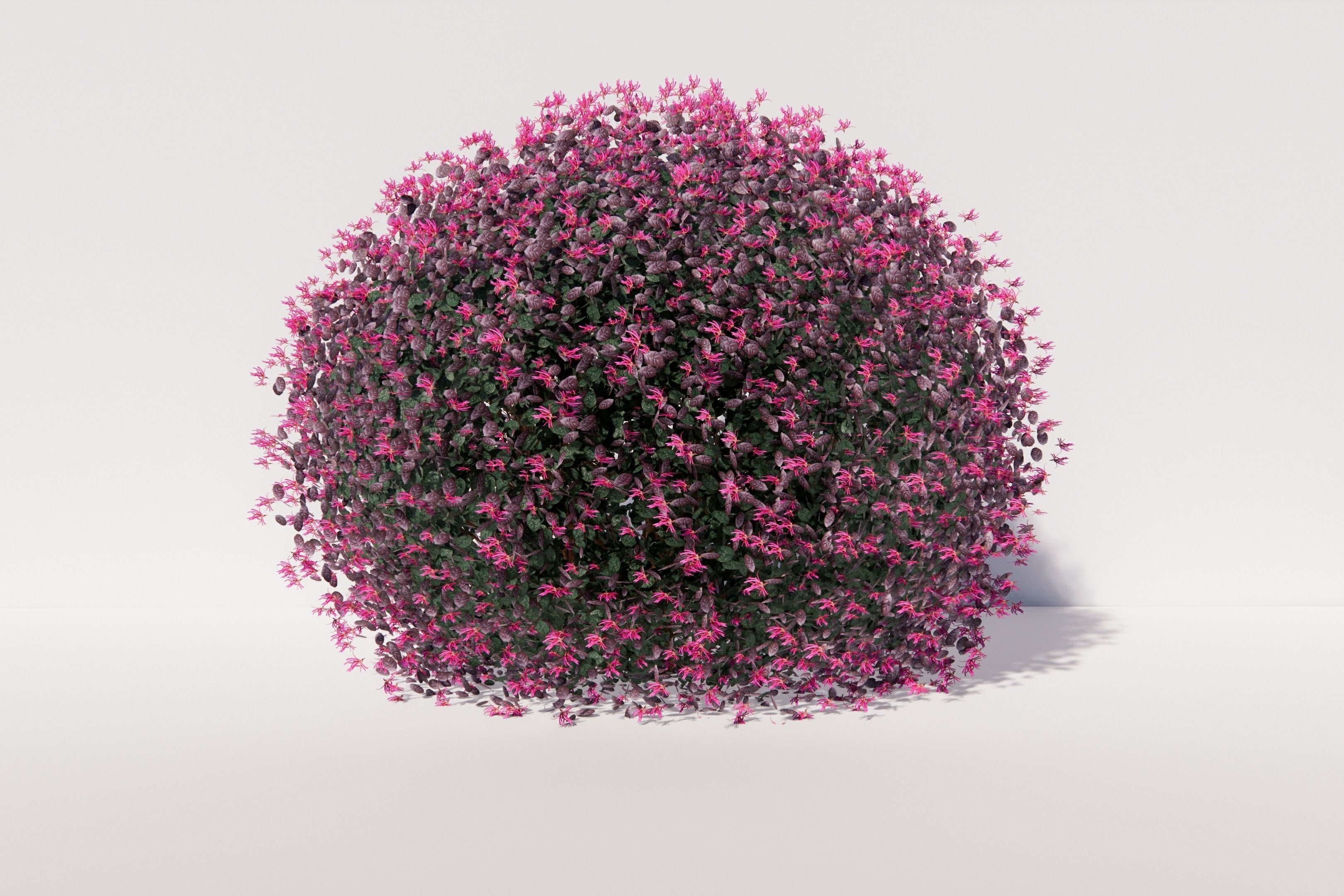 Bushballs hedges 3D model_1