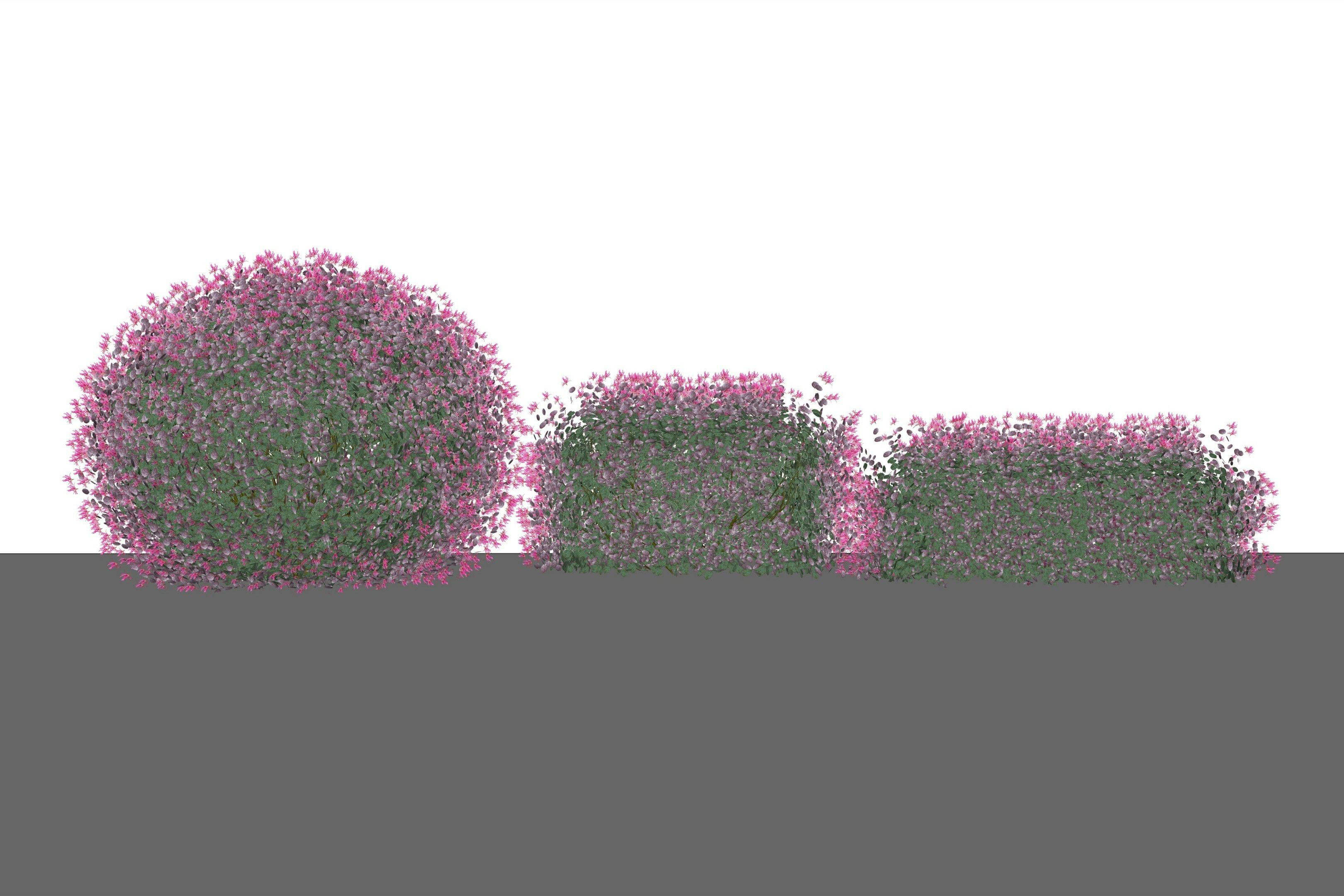 Bushballs hedges 3D model_4