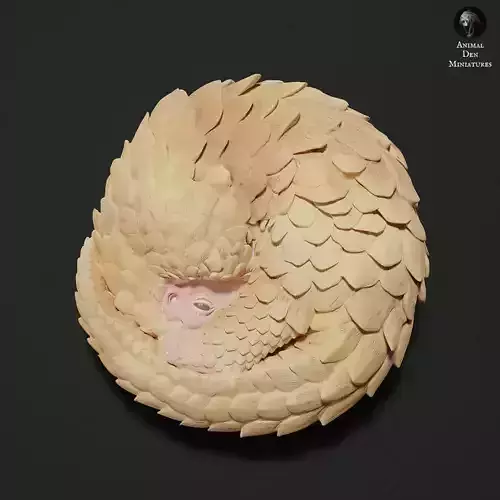 Sunda Pangolin Curled Up