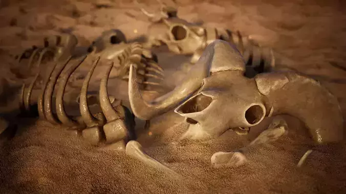 Animal Skeletons 46 Assets