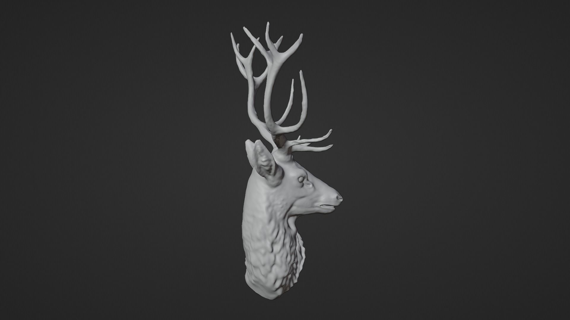 Deer Head Low-poly 3D model_11