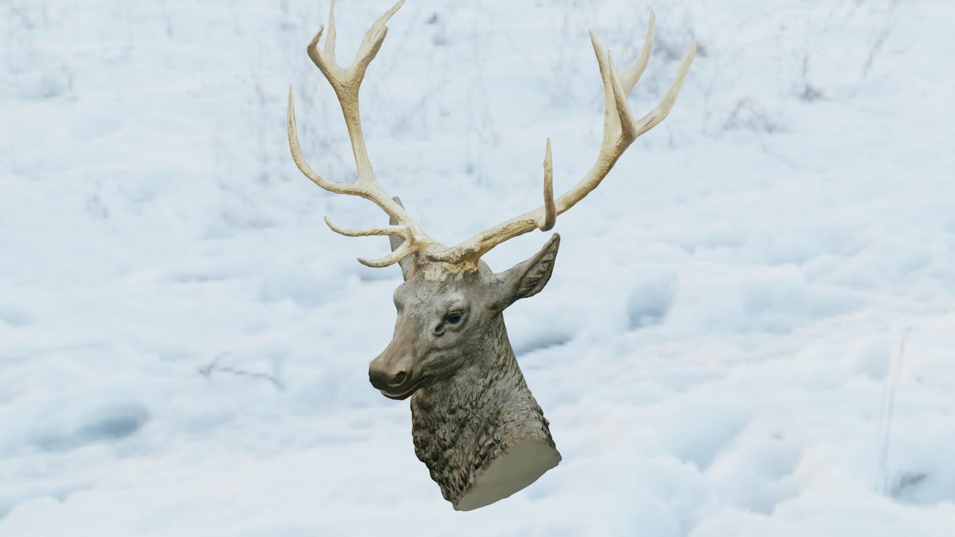 Deer Head Low-poly 3D model_3