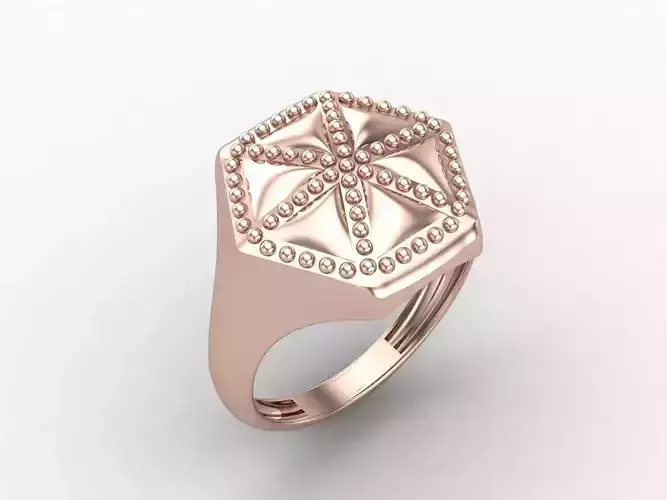 Plain Ring Women Ready STL 3DM Models Womens Rings 3D models 3D print model Plain Ring Women Ready STL 3DM Models Womens Rings 3D models 3D print model