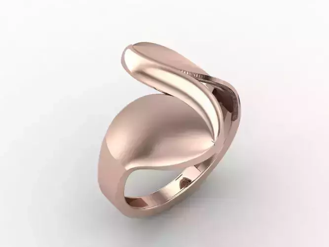 Plain Ring Women Ready STL 3DM Models Womens Rings 3D models 3D print model Plain Ring Women Ready STL 3DM Models Womens Rings 3D models 3D print model