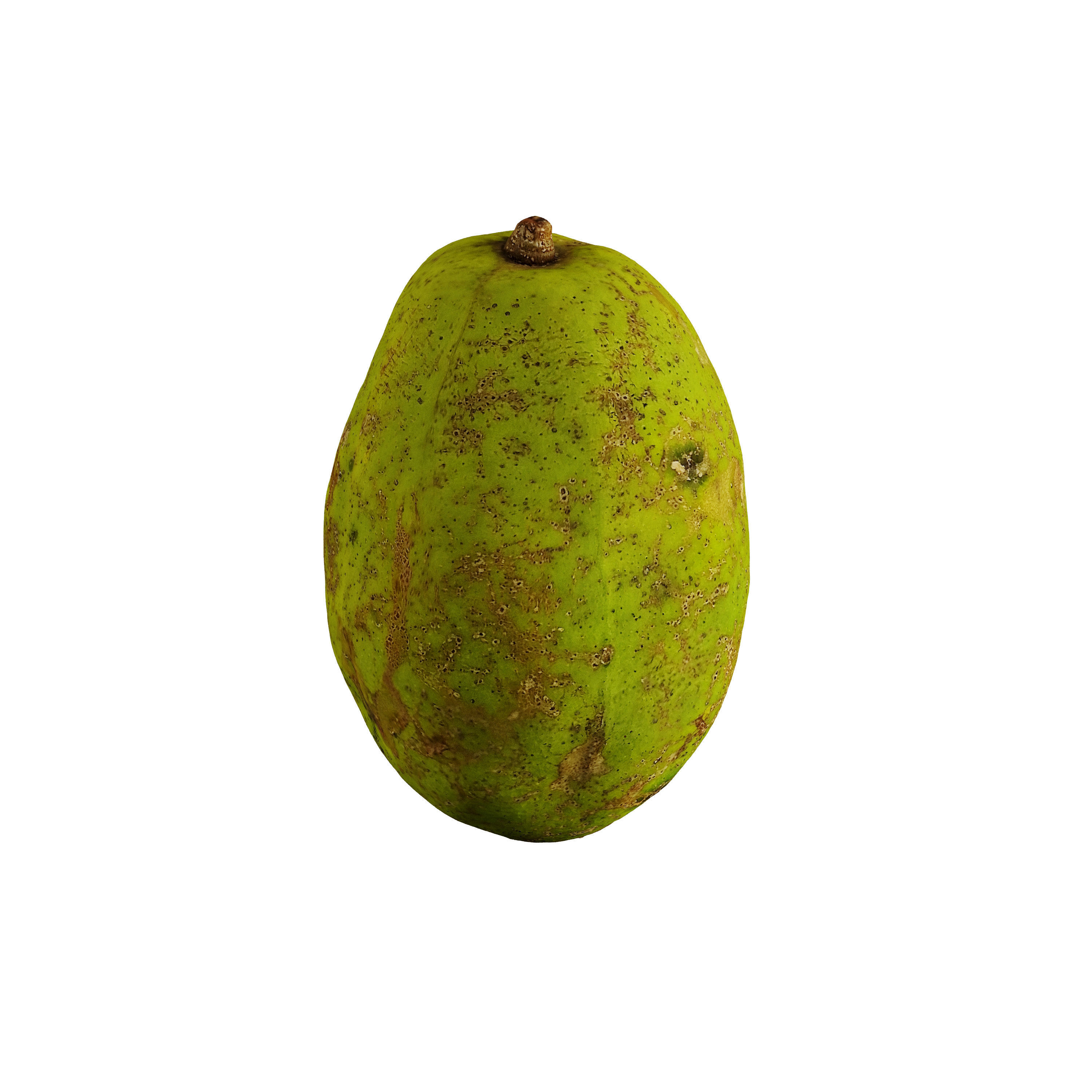 Ambarella - Photogrammetry 3D model_1