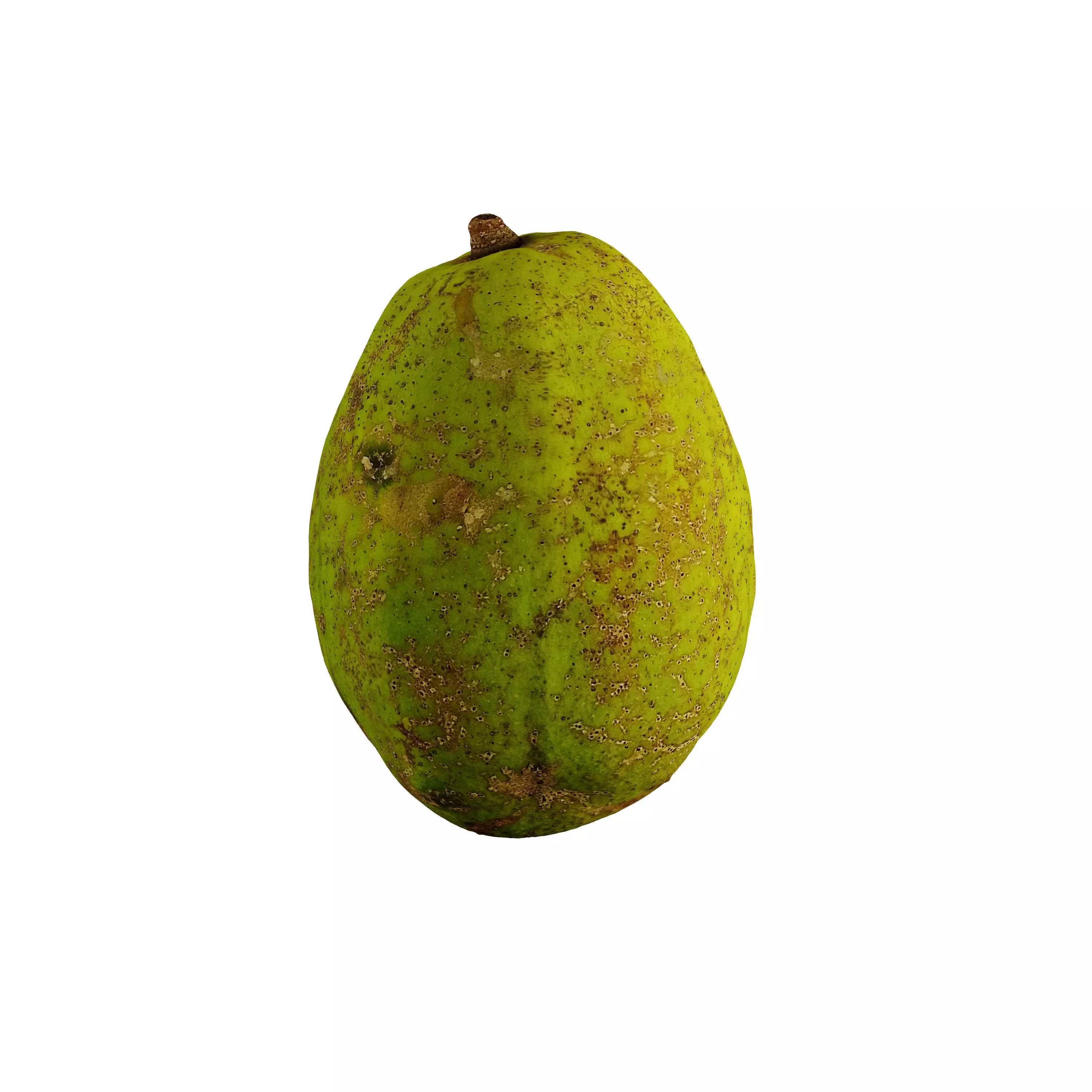 Ambarella - Photogrammetry 3D model_0