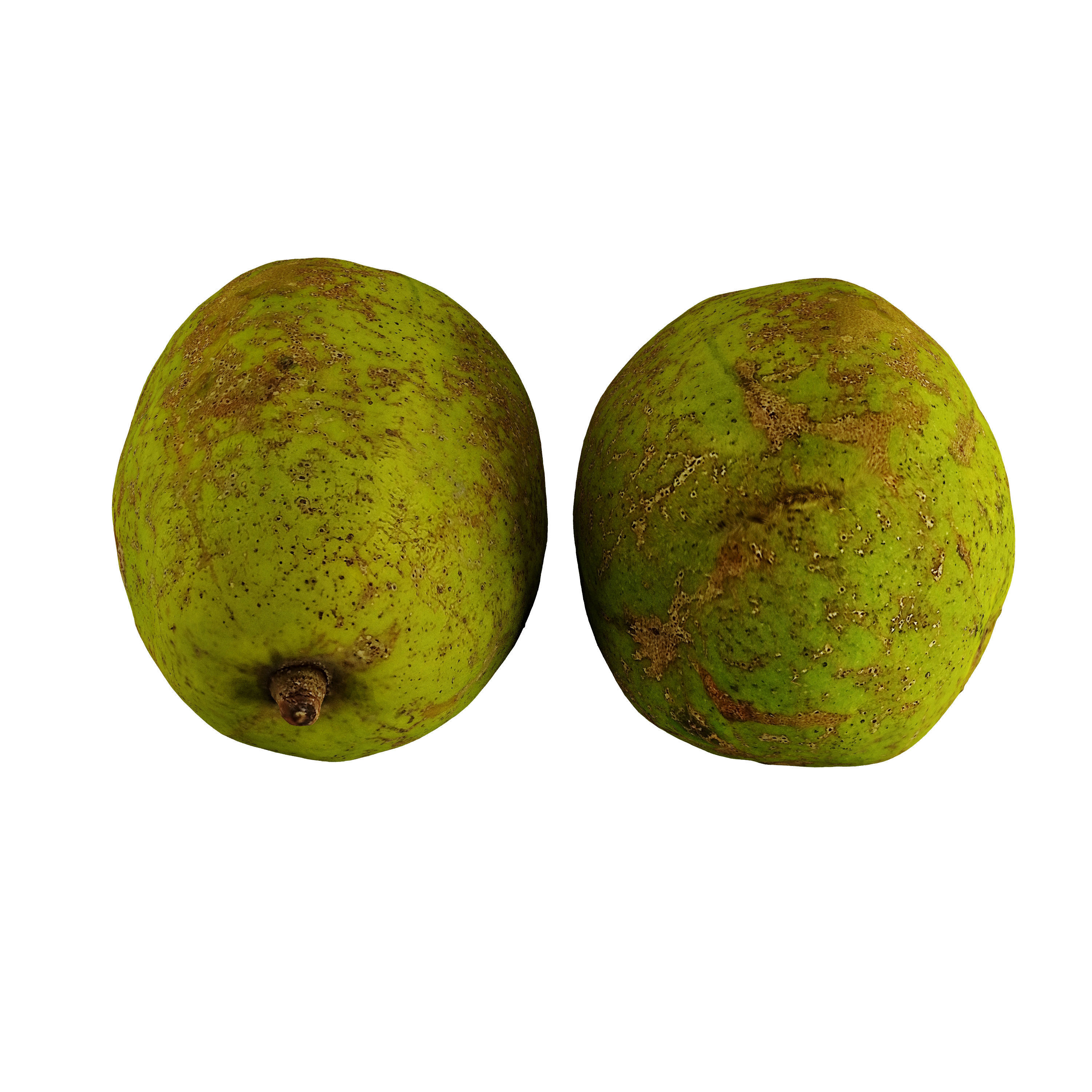 Ambarella - Photogrammetry 3D model_5