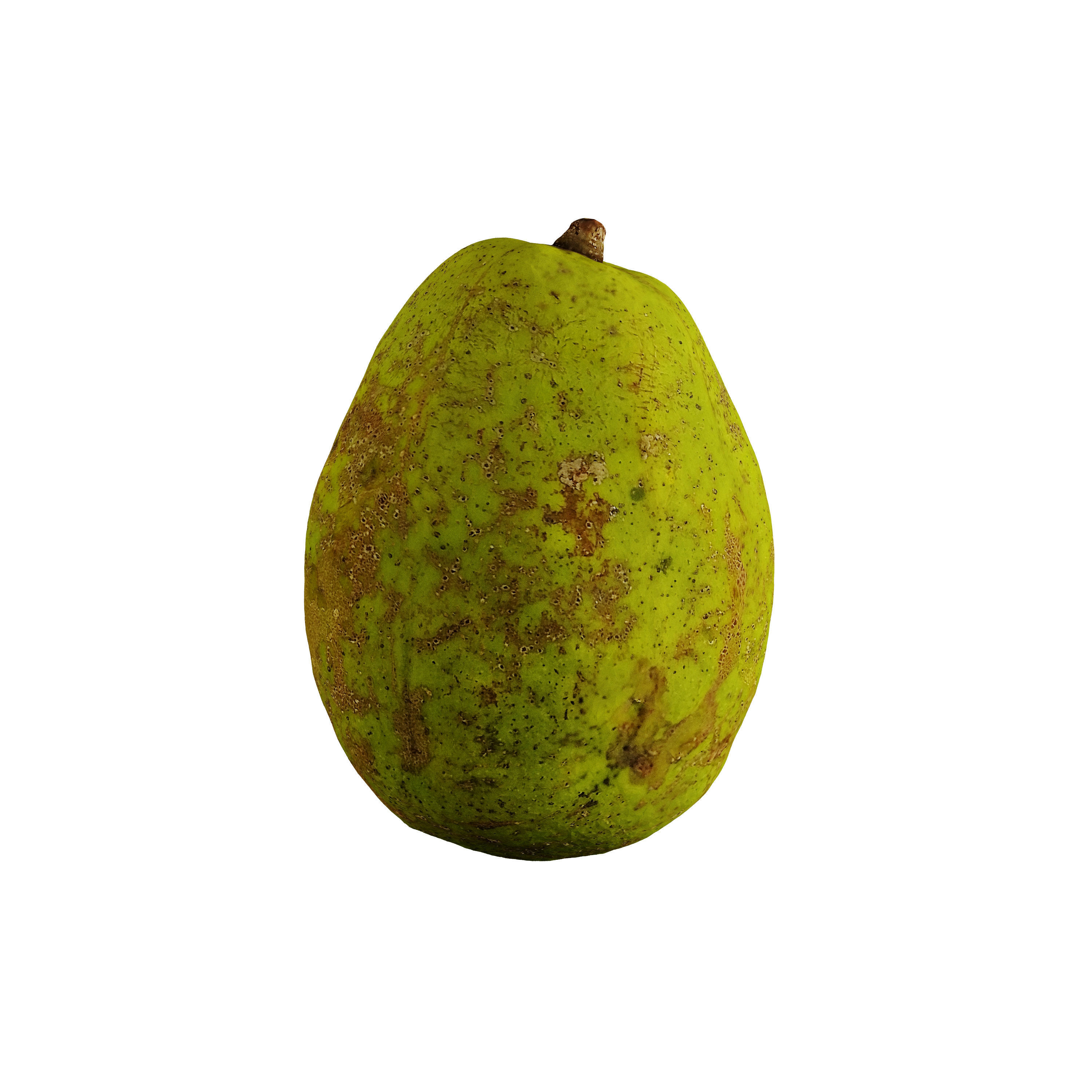 Ambarella - Photogrammetry 3D model_2