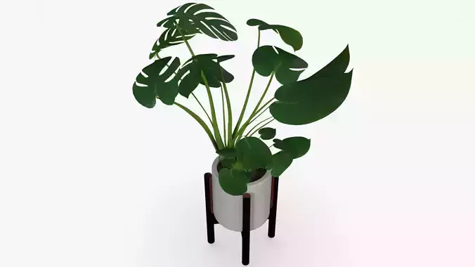 Monstera Pot Low-poly 3D model