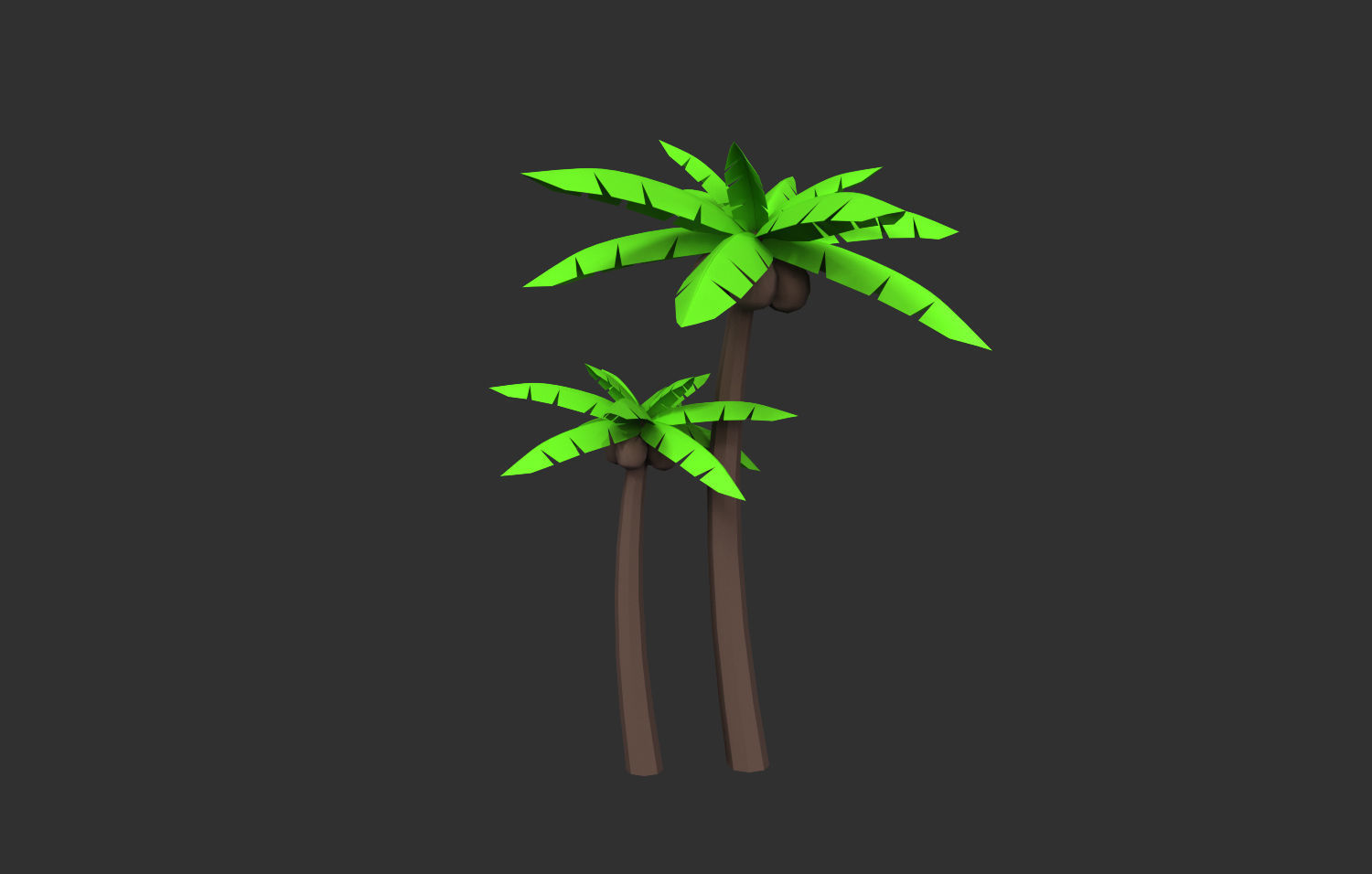 Coconut Tree  Low-poly 3D model_11
