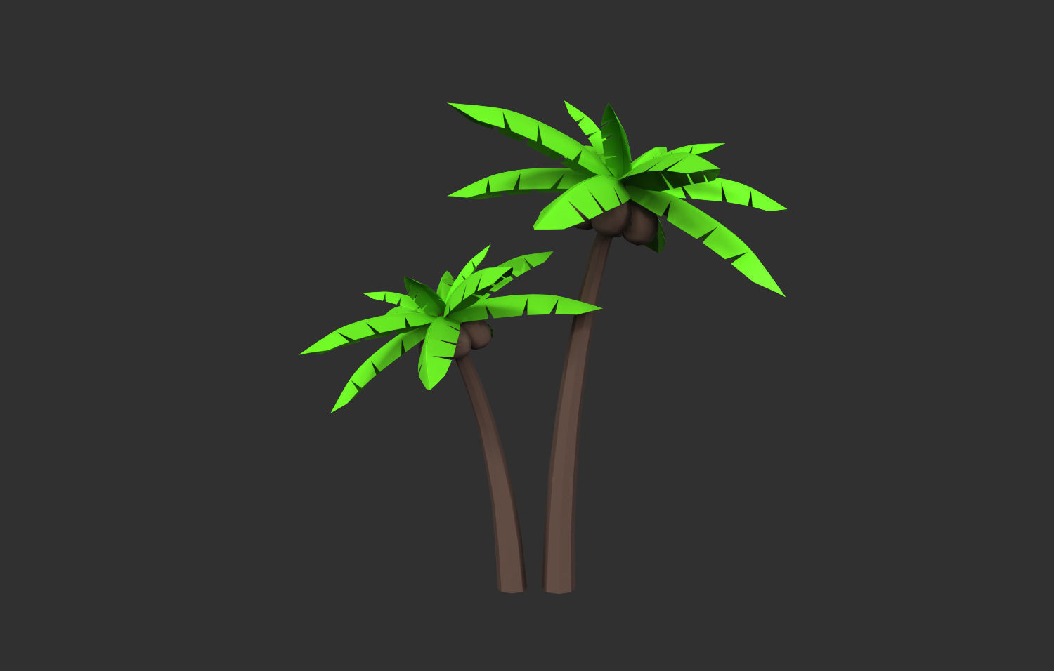 Coconut Tree  Low-poly 3D model_13