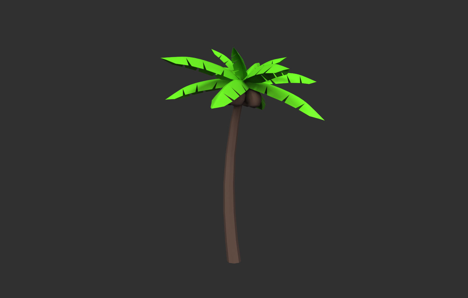 Coconut Tree  Low-poly 3D model_5