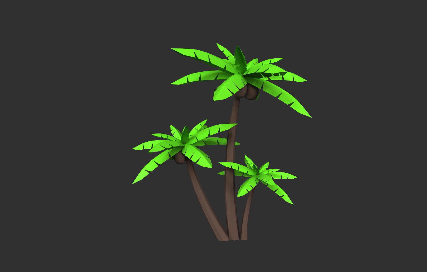 Coconut Tree  Low-poly 3D model_15