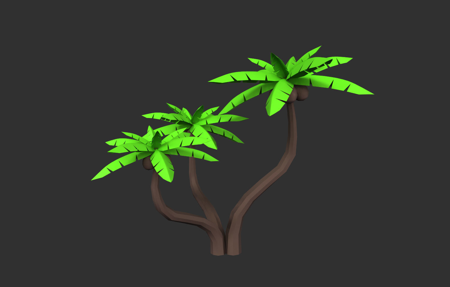 Coconut Tree  Low-poly 3D model_23