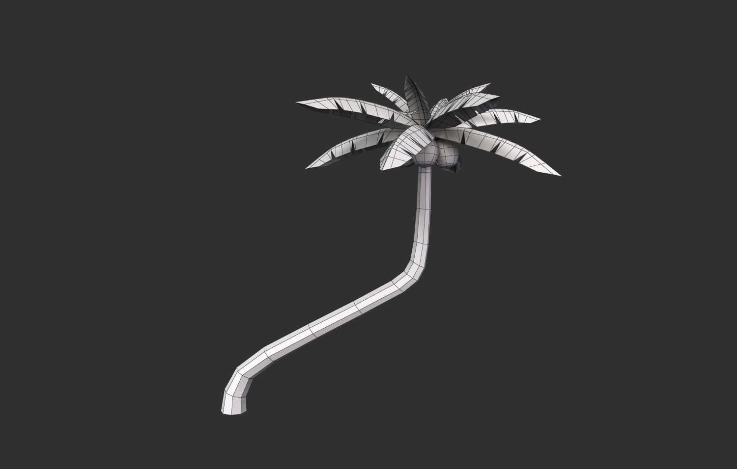 Coconut Tree  Low-poly 3D model_10