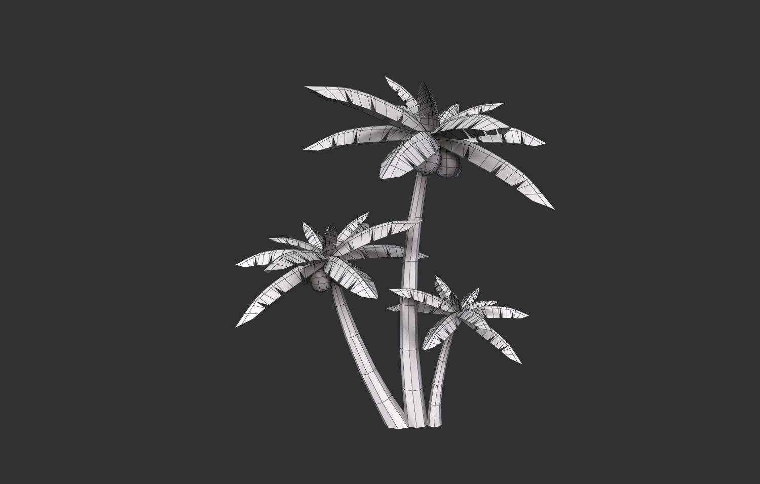 Coconut Tree  Low-poly 3D model_16