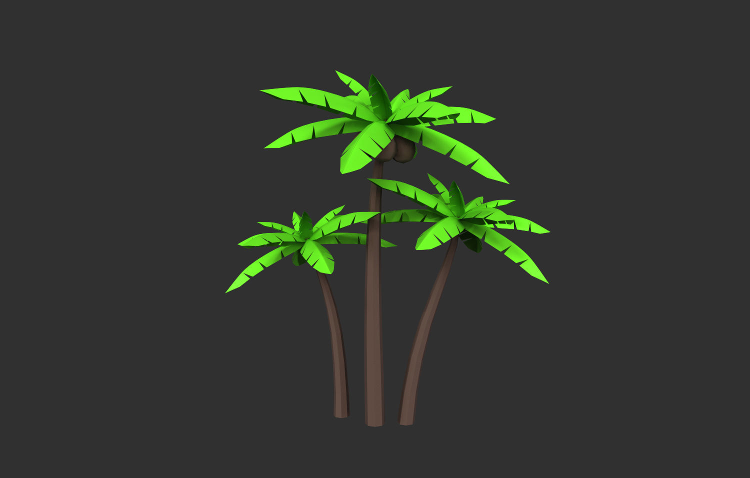 Coconut Tree  Low-poly 3D model_17