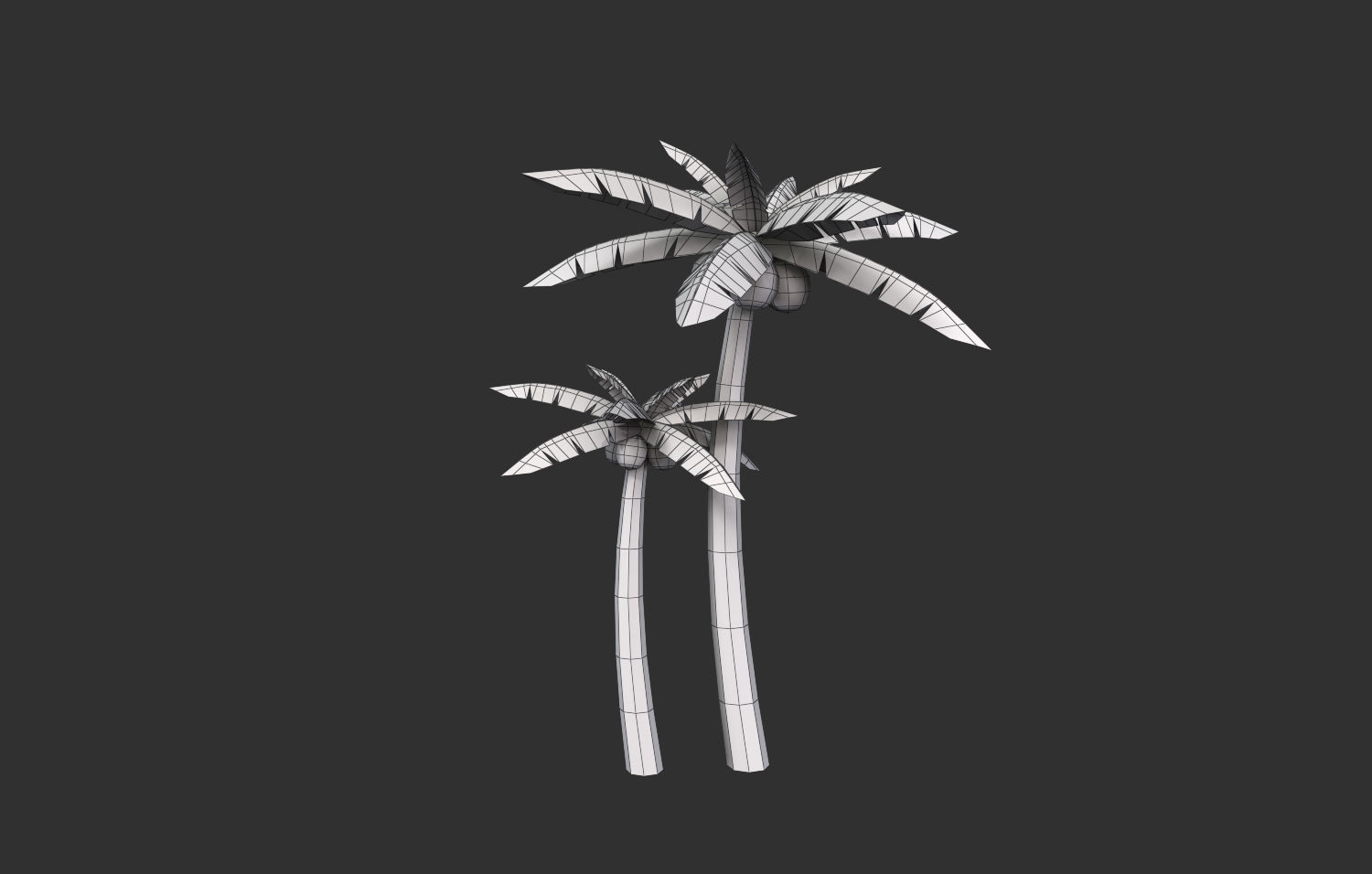 Coconut Tree  Low-poly 3D model_12