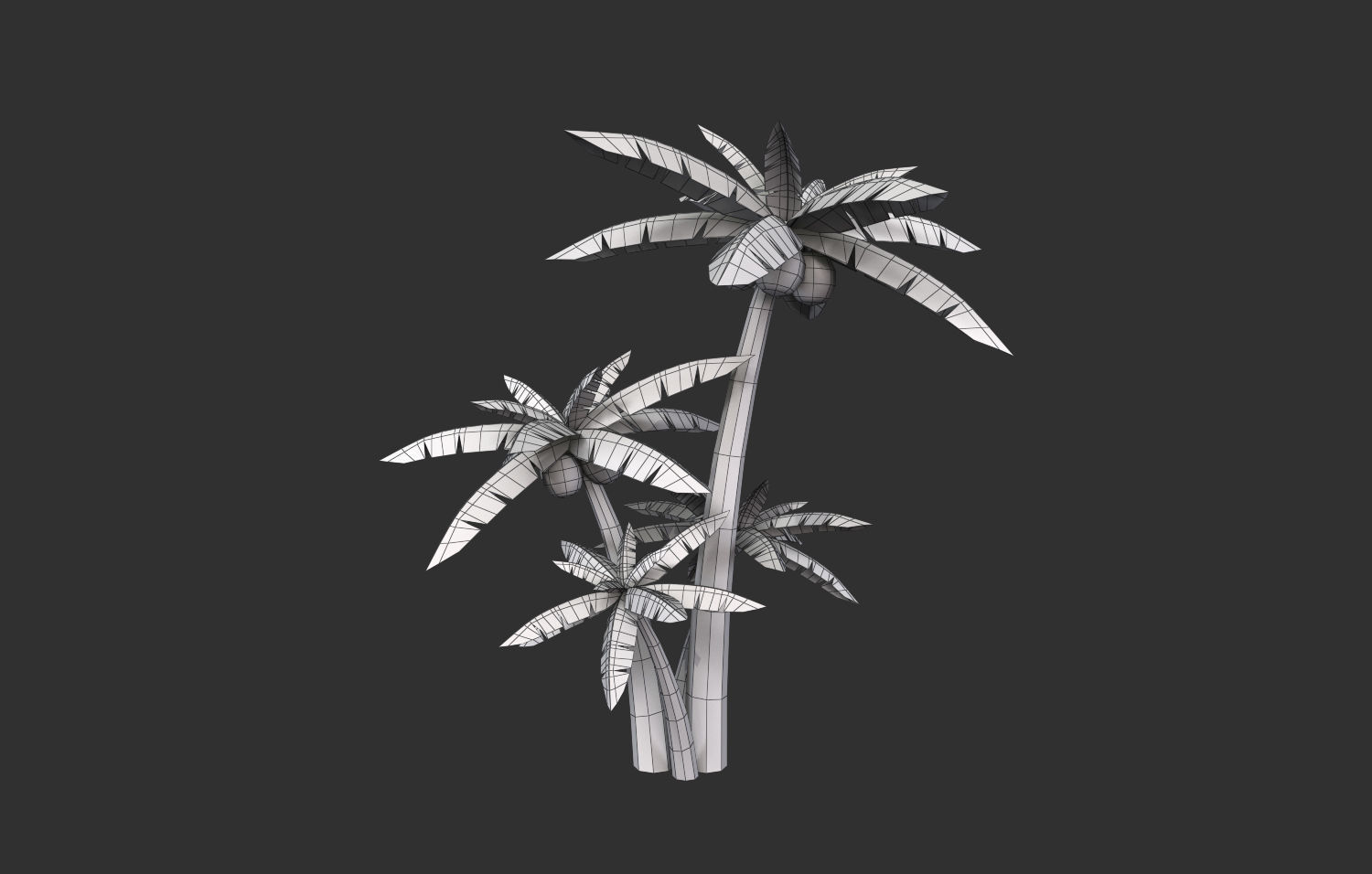Coconut Tree  Low-poly 3D model_20