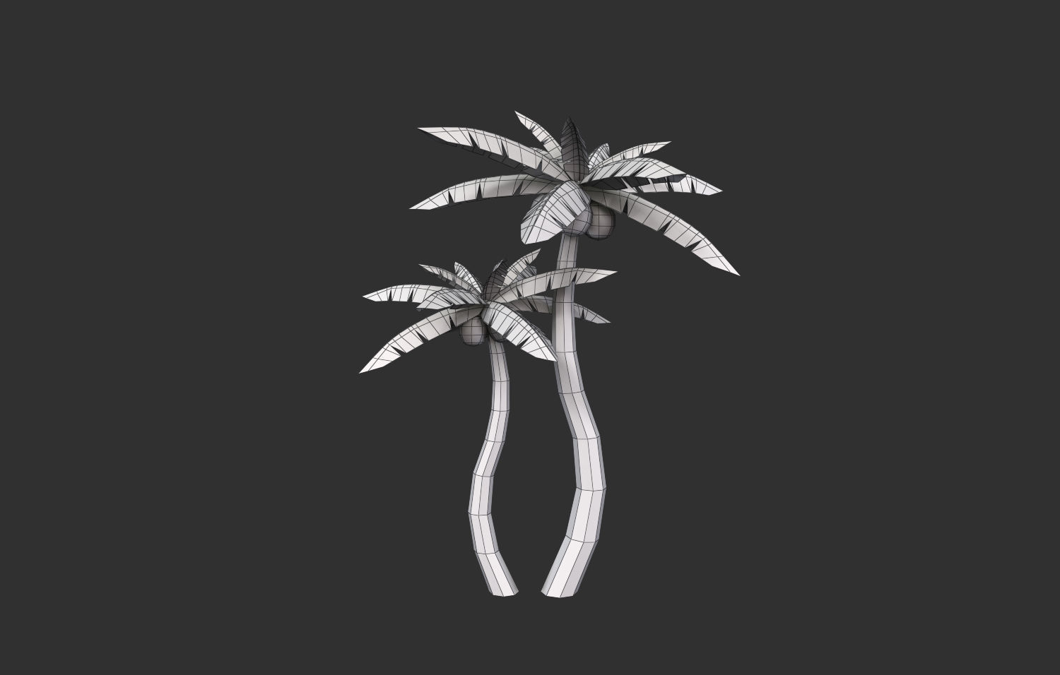 Coconut Tree  Low-poly 3D model_22