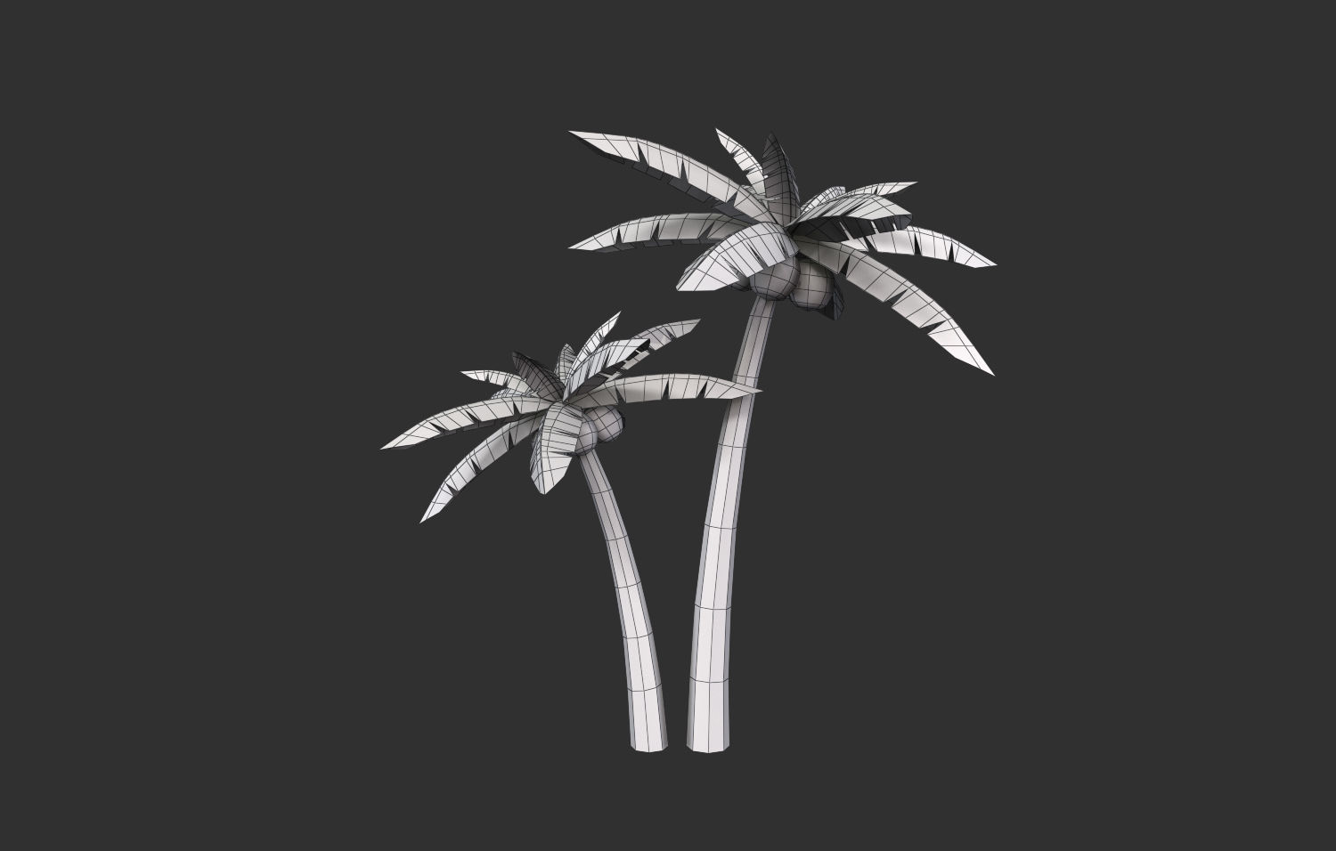 Coconut Tree  Low-poly 3D model_14