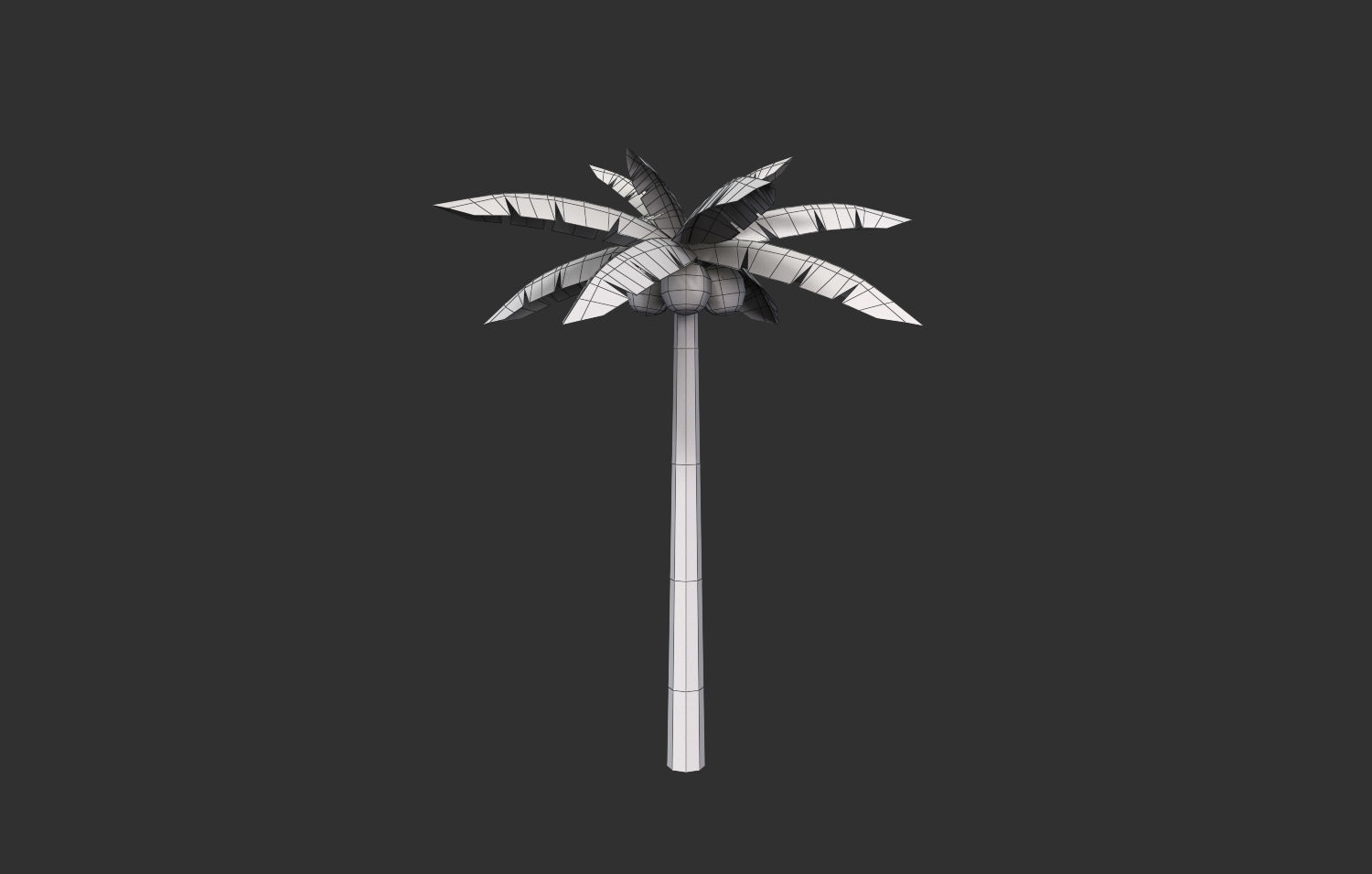 Coconut Tree  Low-poly 3D model_4