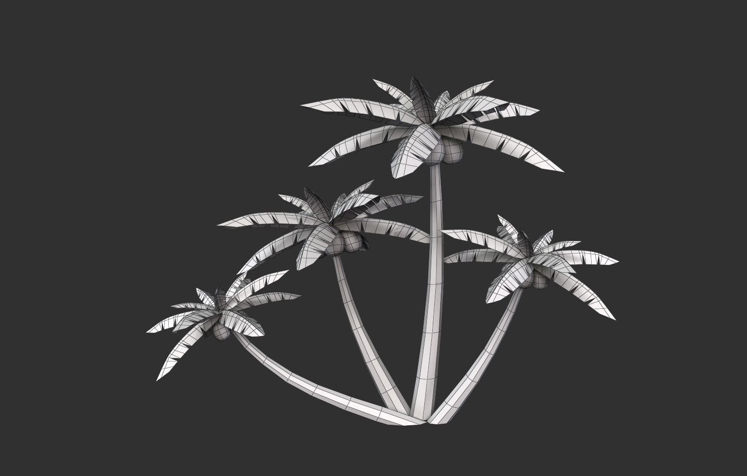 Coconut Tree  Low-poly 3D model_26