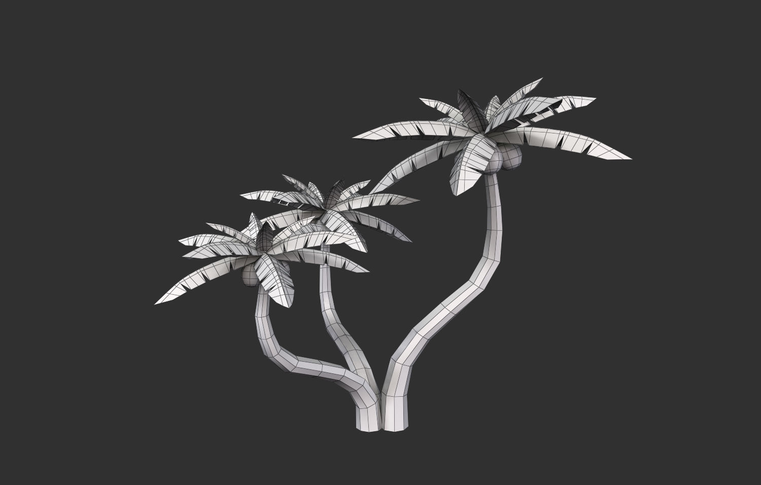 Coconut Tree  Low-poly 3D model_24