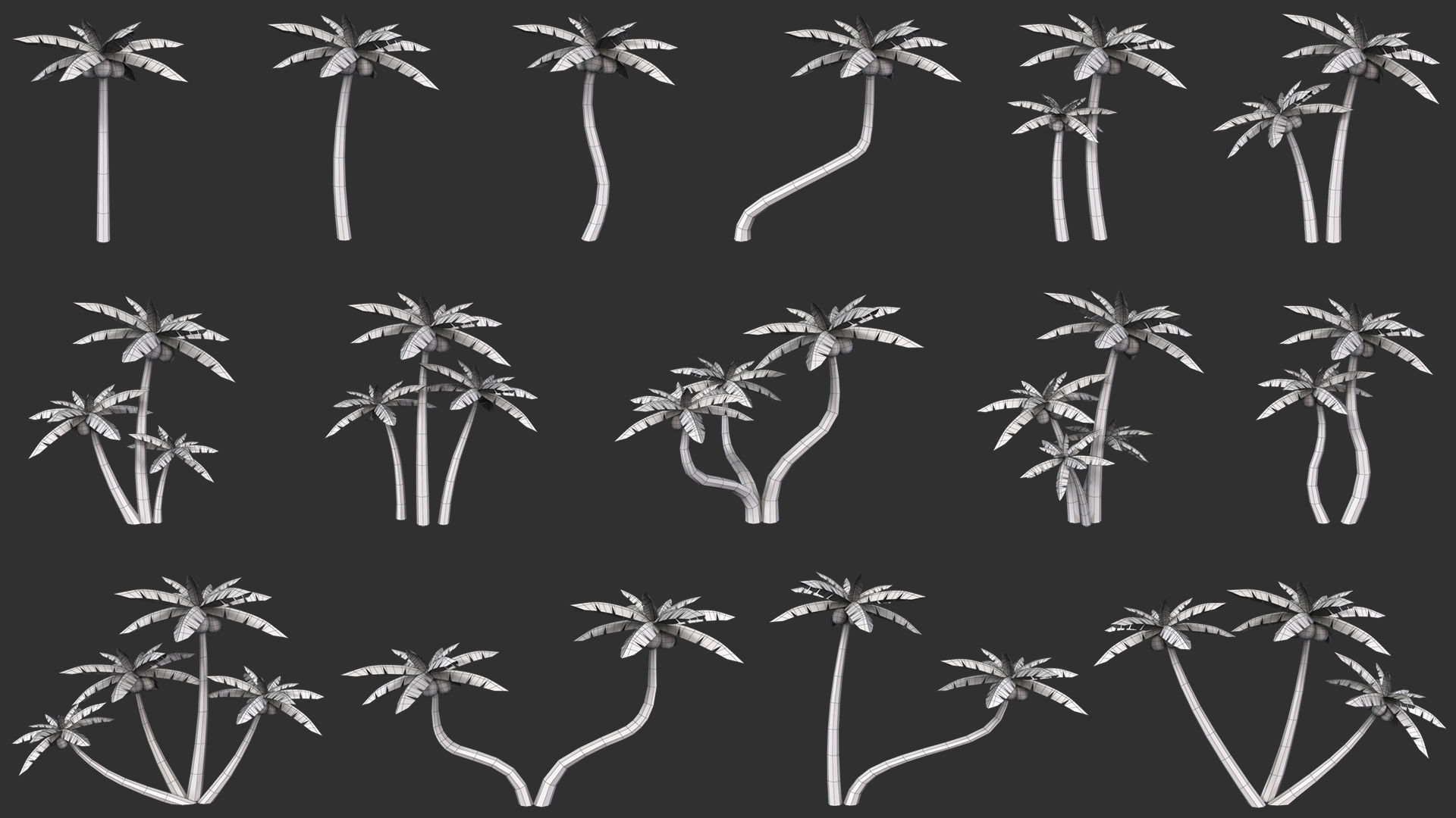 Coconut Tree  Low-poly 3D model_2