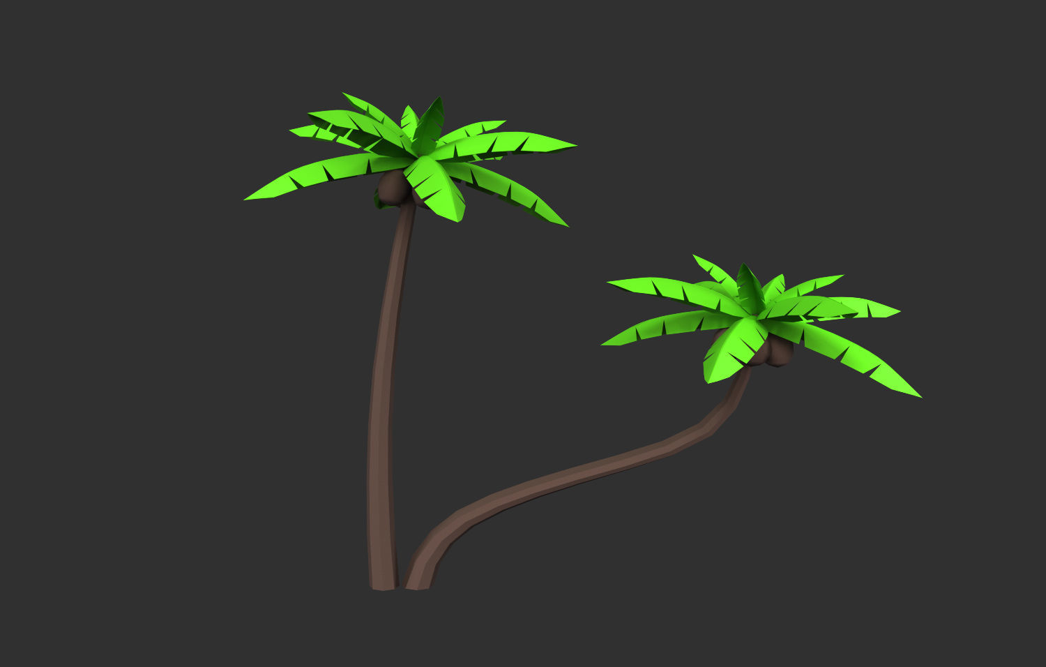 Coconut Tree  Low-poly 3D model_29