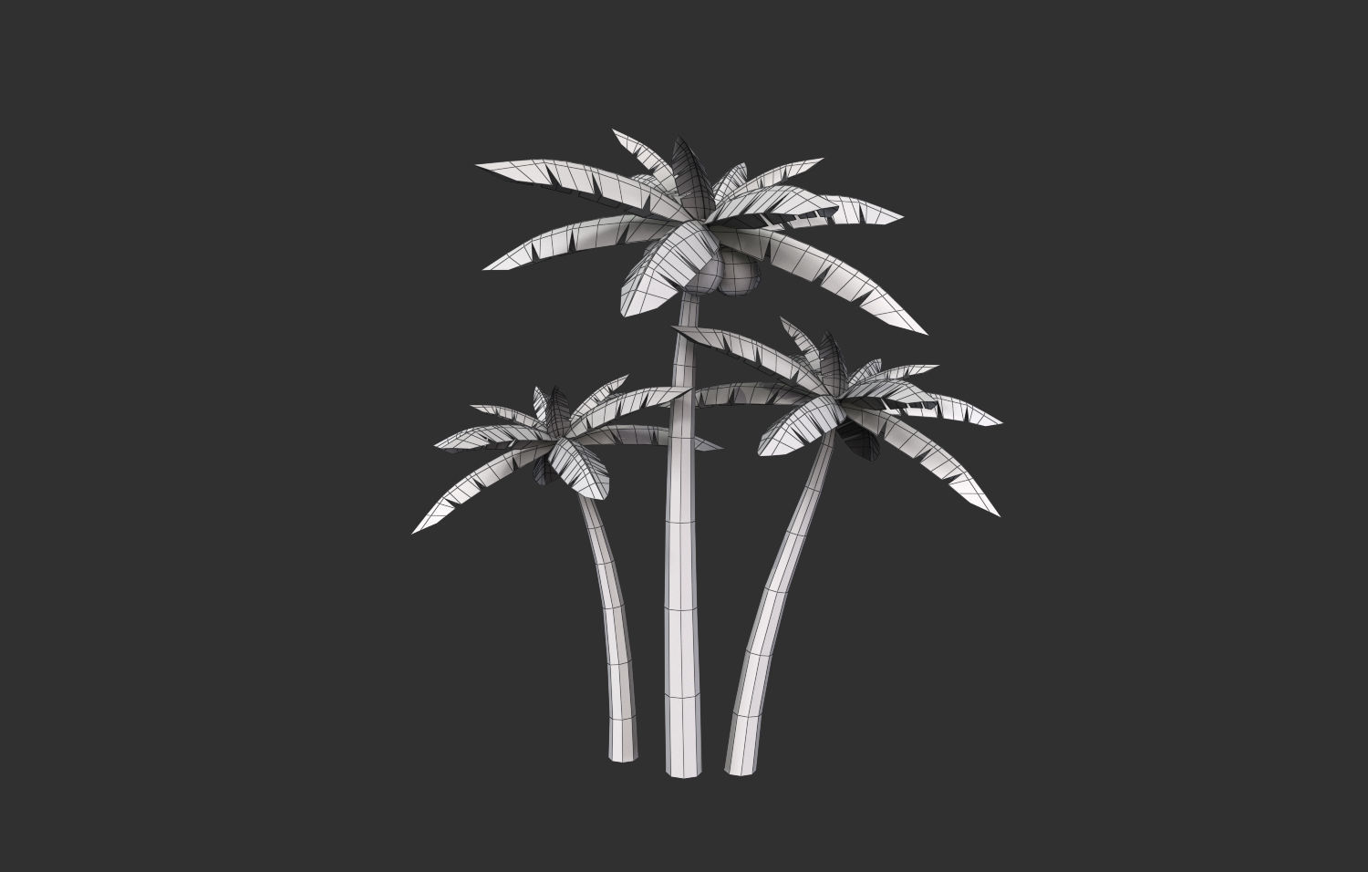 Coconut Tree  Low-poly 3D model_18