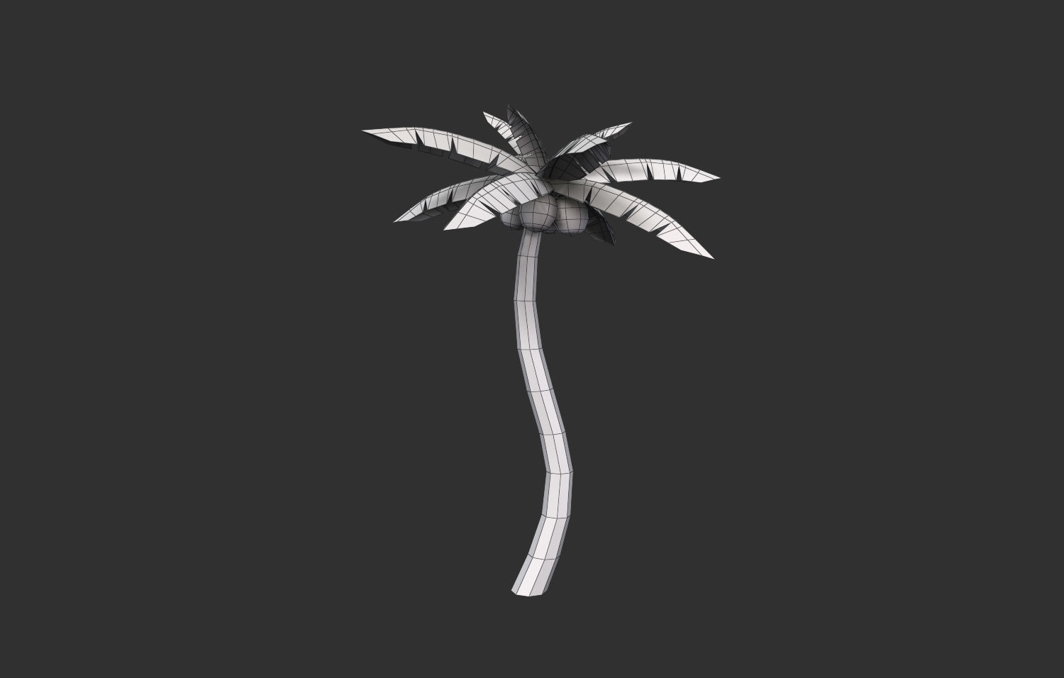 Coconut Tree  Low-poly 3D model_8
