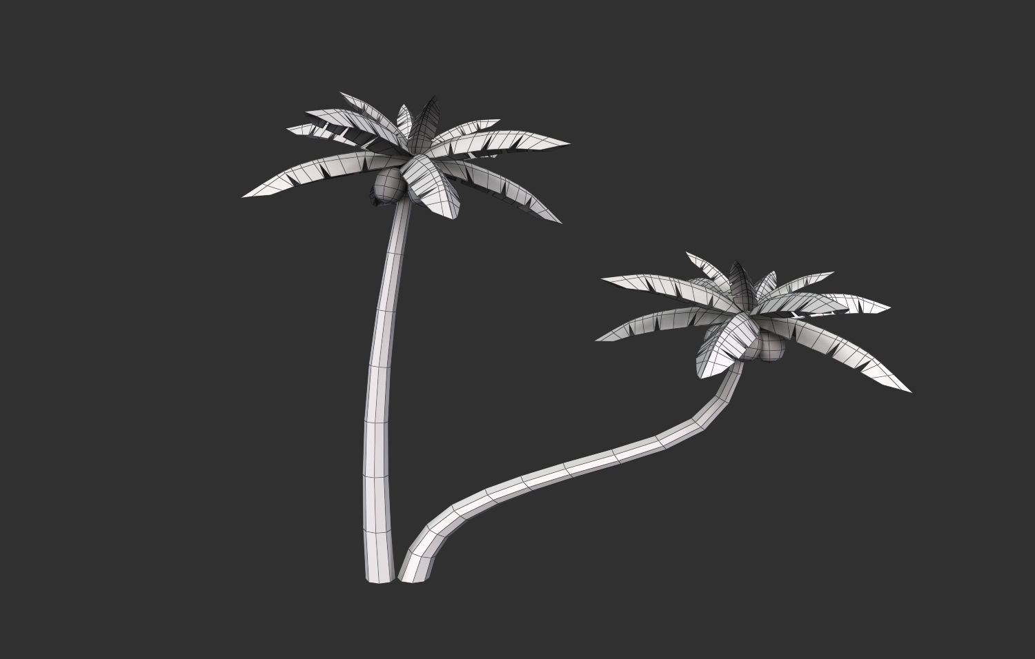 Coconut Tree  Low-poly 3D model_30