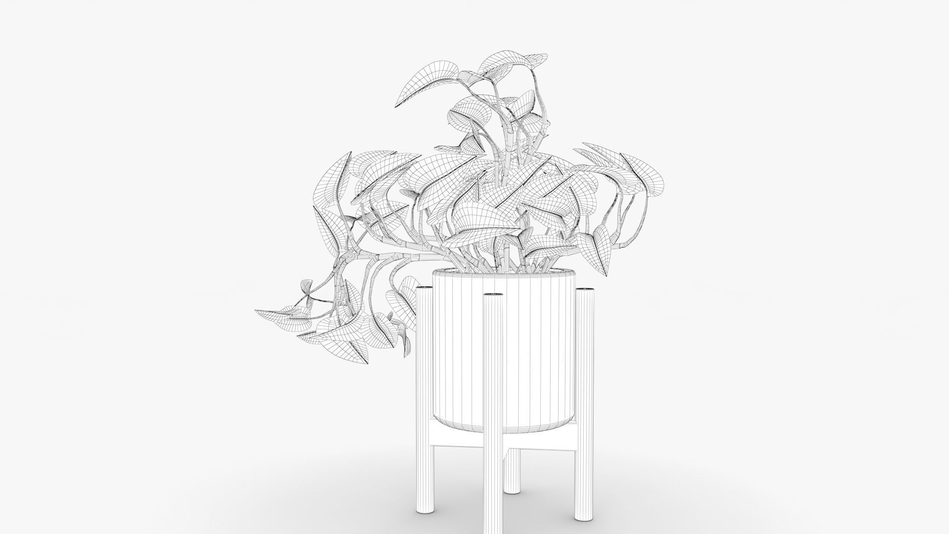 Epipremnum Pot Low-poly 3D model_10