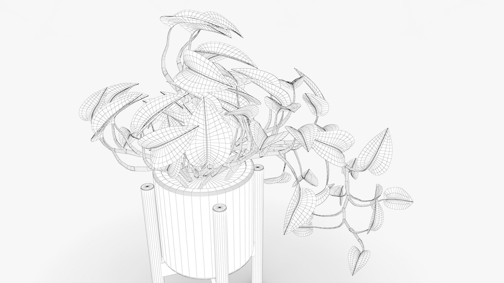 Epipremnum Pot Low-poly 3D model_11