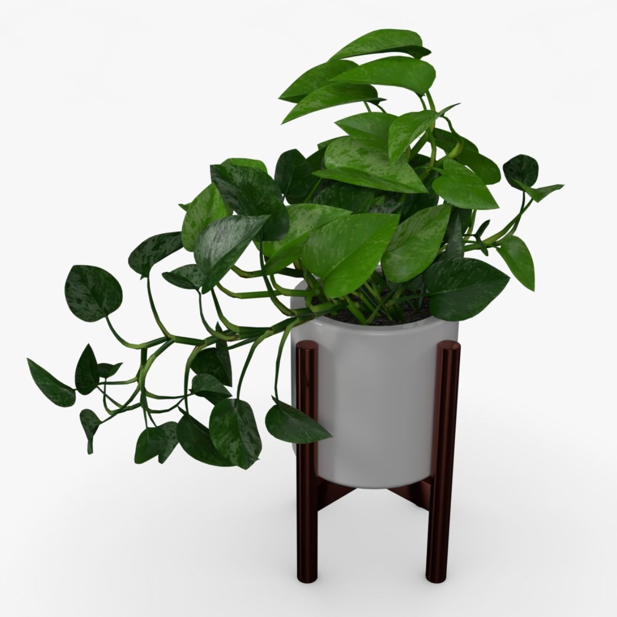 Epipremnum Pot Low-poly 3D model_6