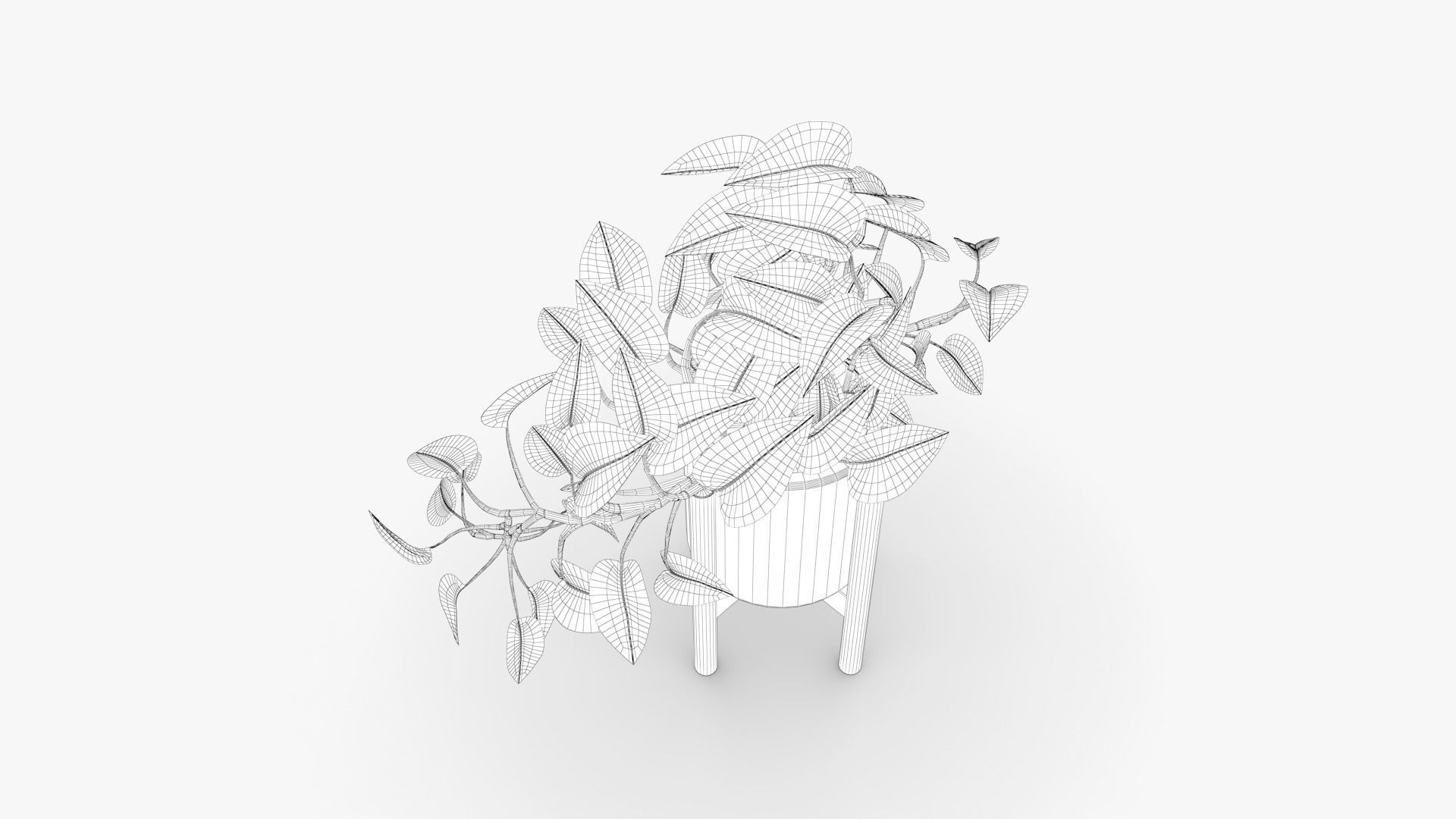 Epipremnum Pot Low-poly 3D model_9