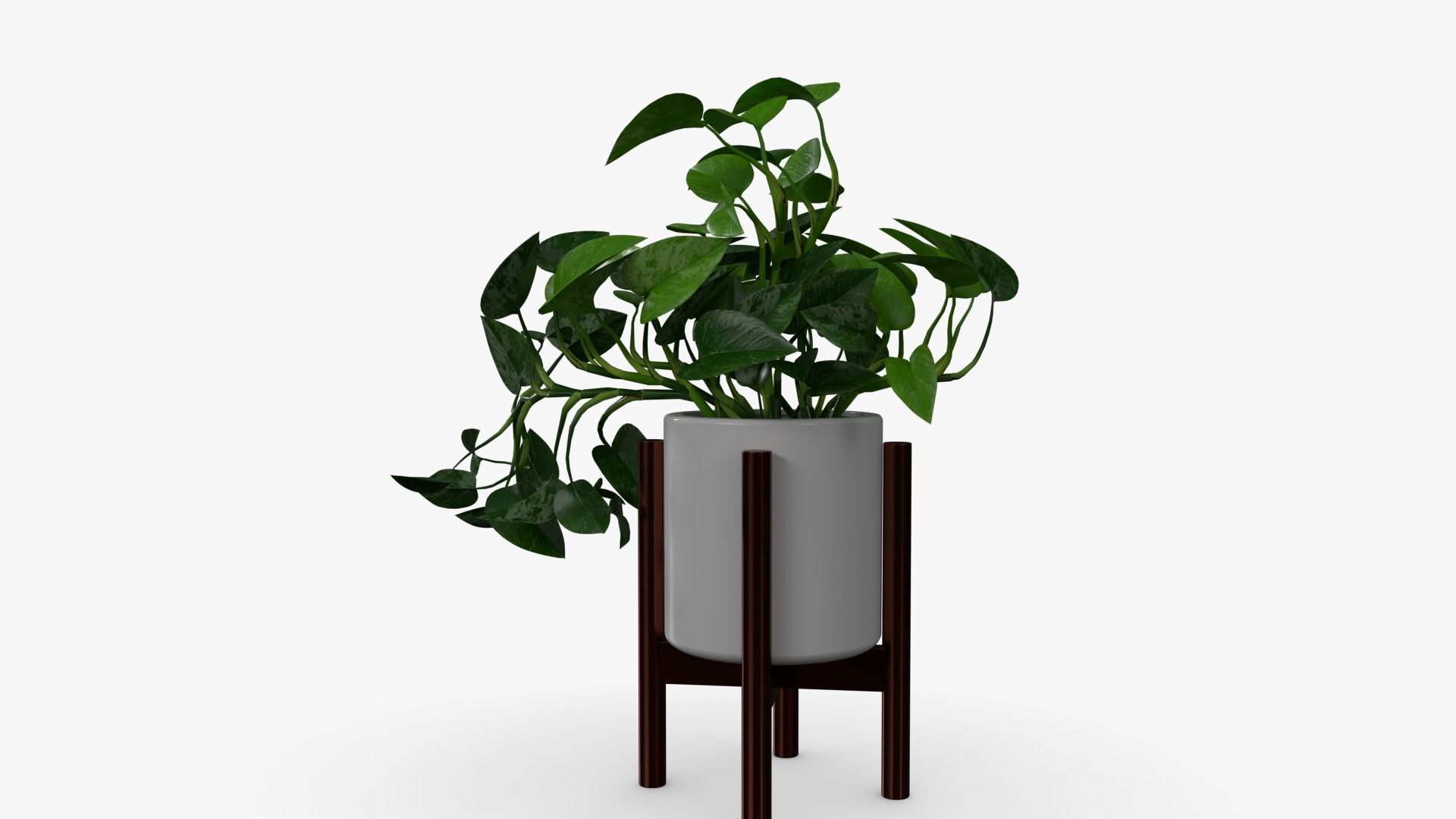 Epipremnum Pot Low-poly 3D model_4