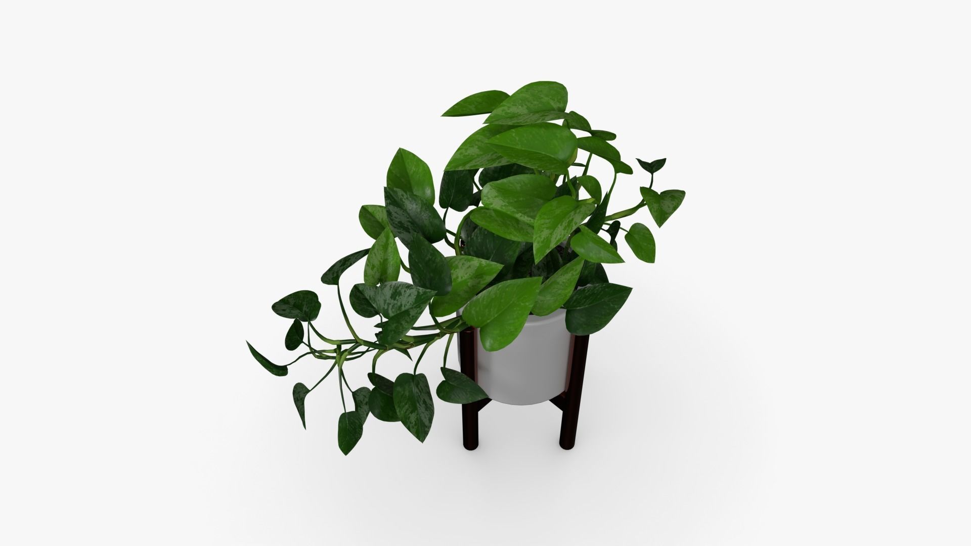 Epipremnum Pot Low-poly 3D model_3