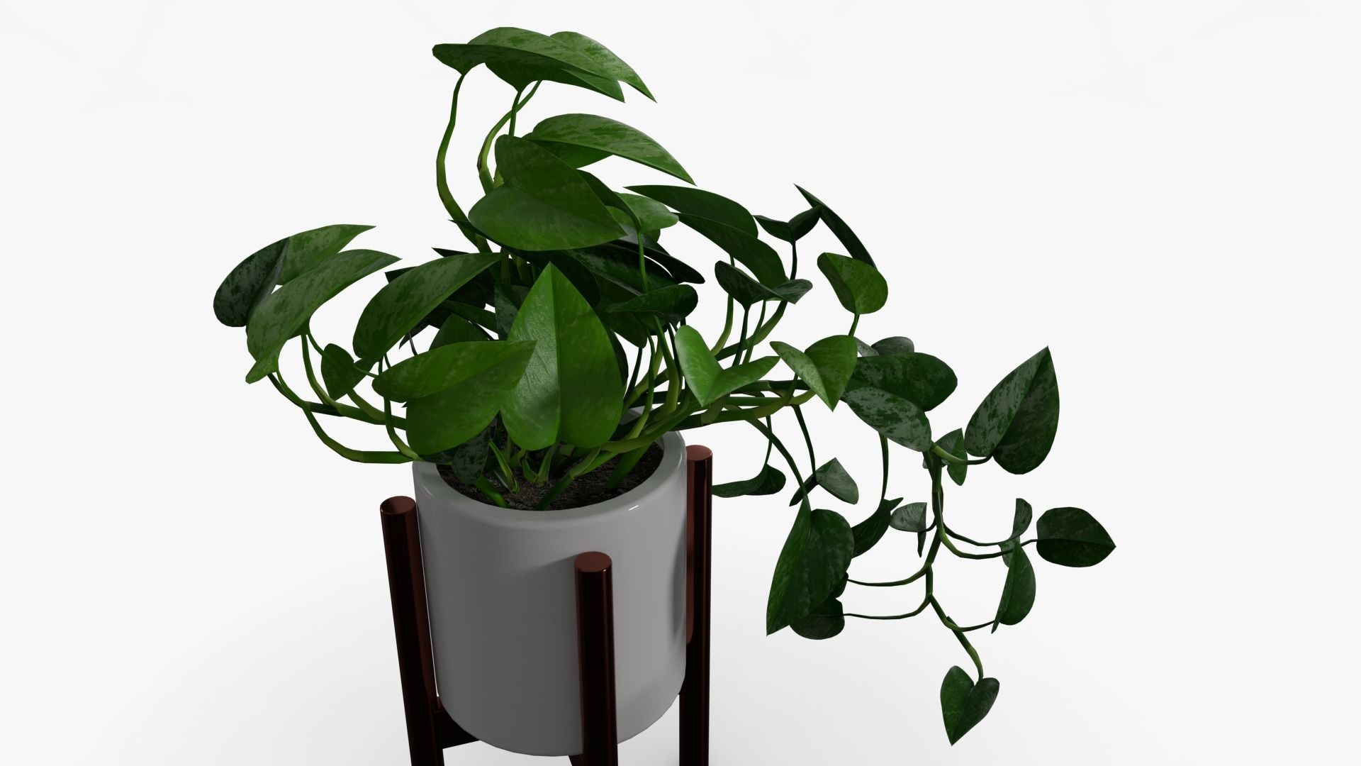 Epipremnum Pot Low-poly 3D model_5
