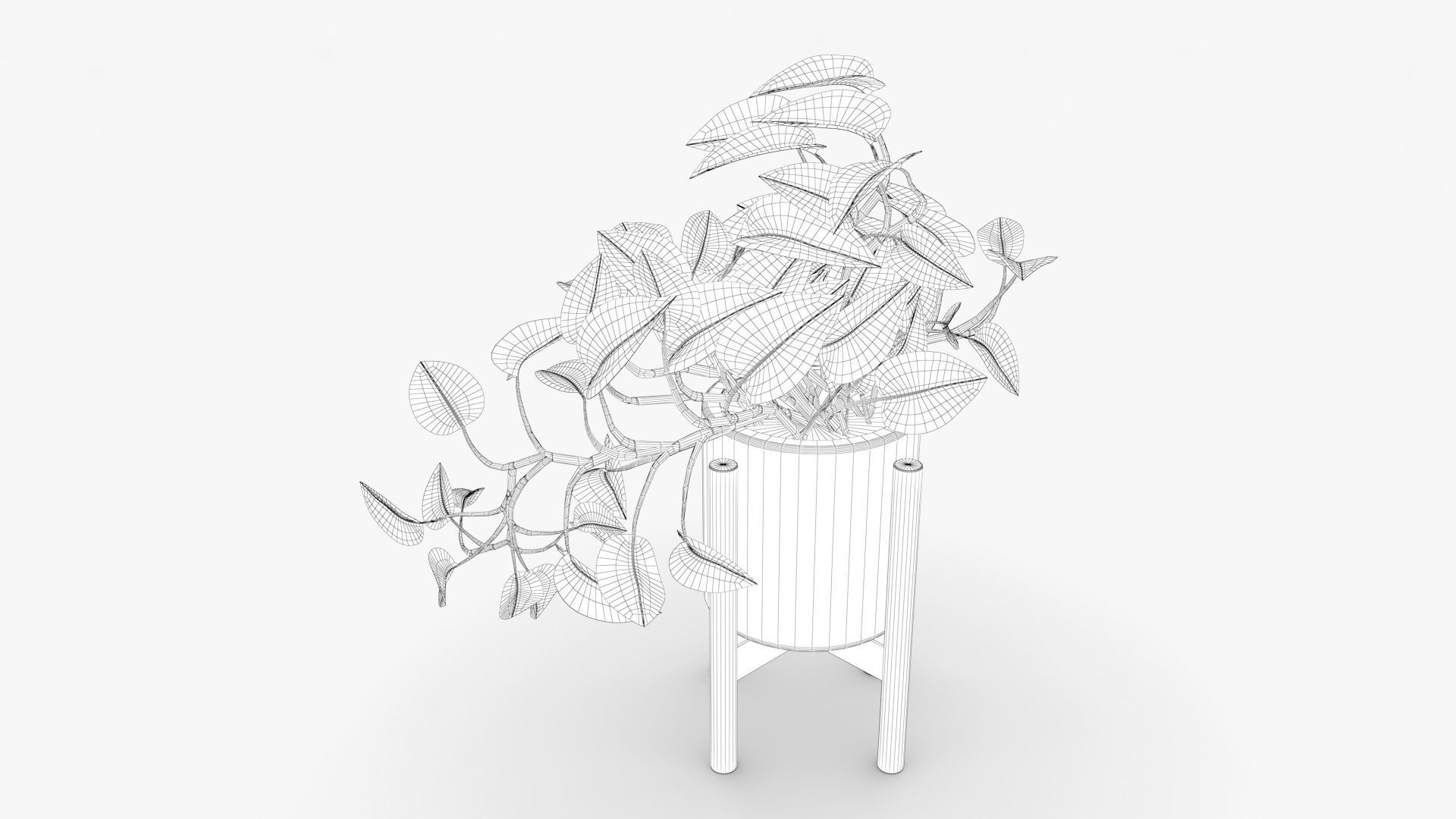 Epipremnum Pot Low-poly 3D model_7