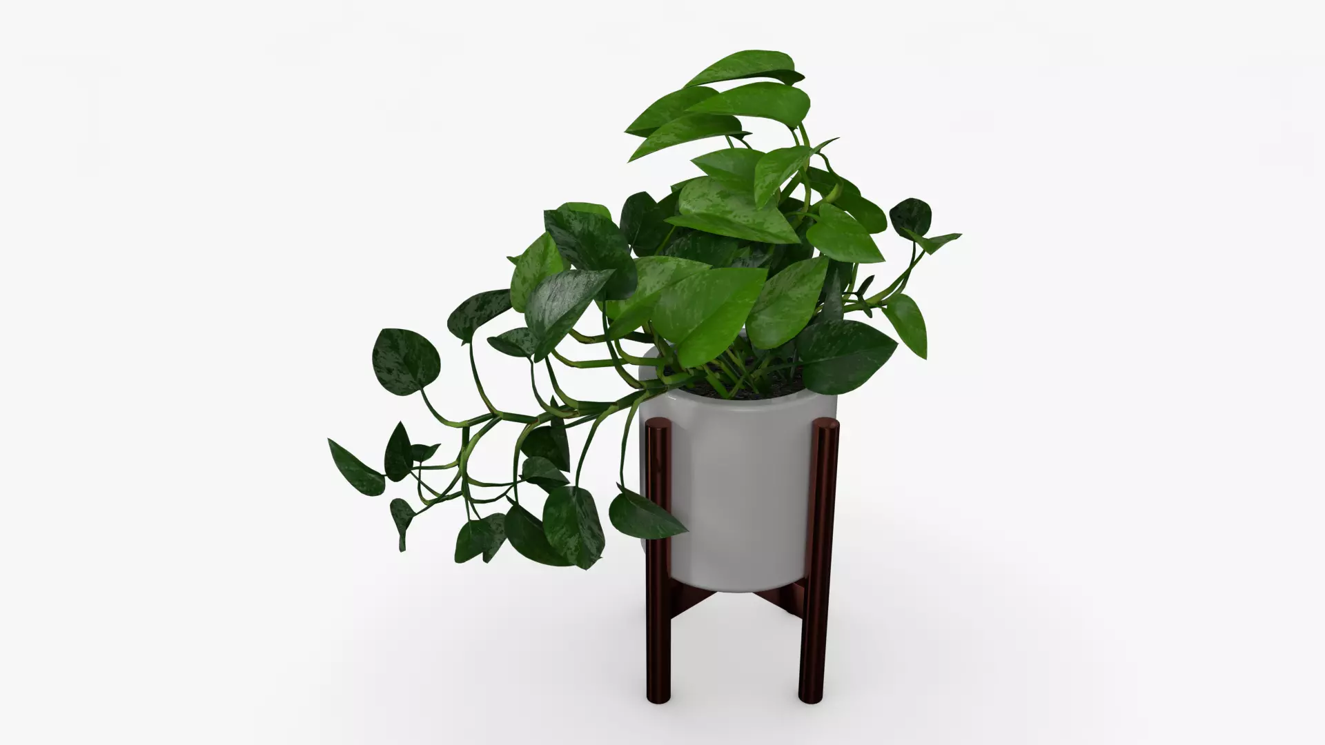 Epipremnum Pot Low-poly 3D model_0