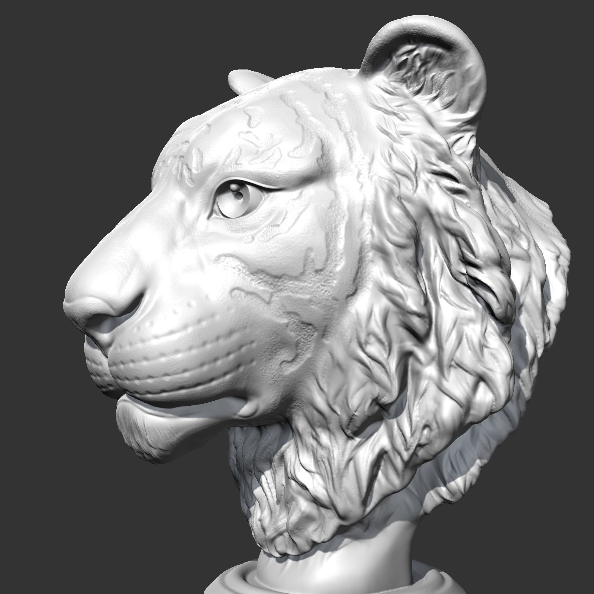 Tiger Head AM16 3D print model 3D print model_4