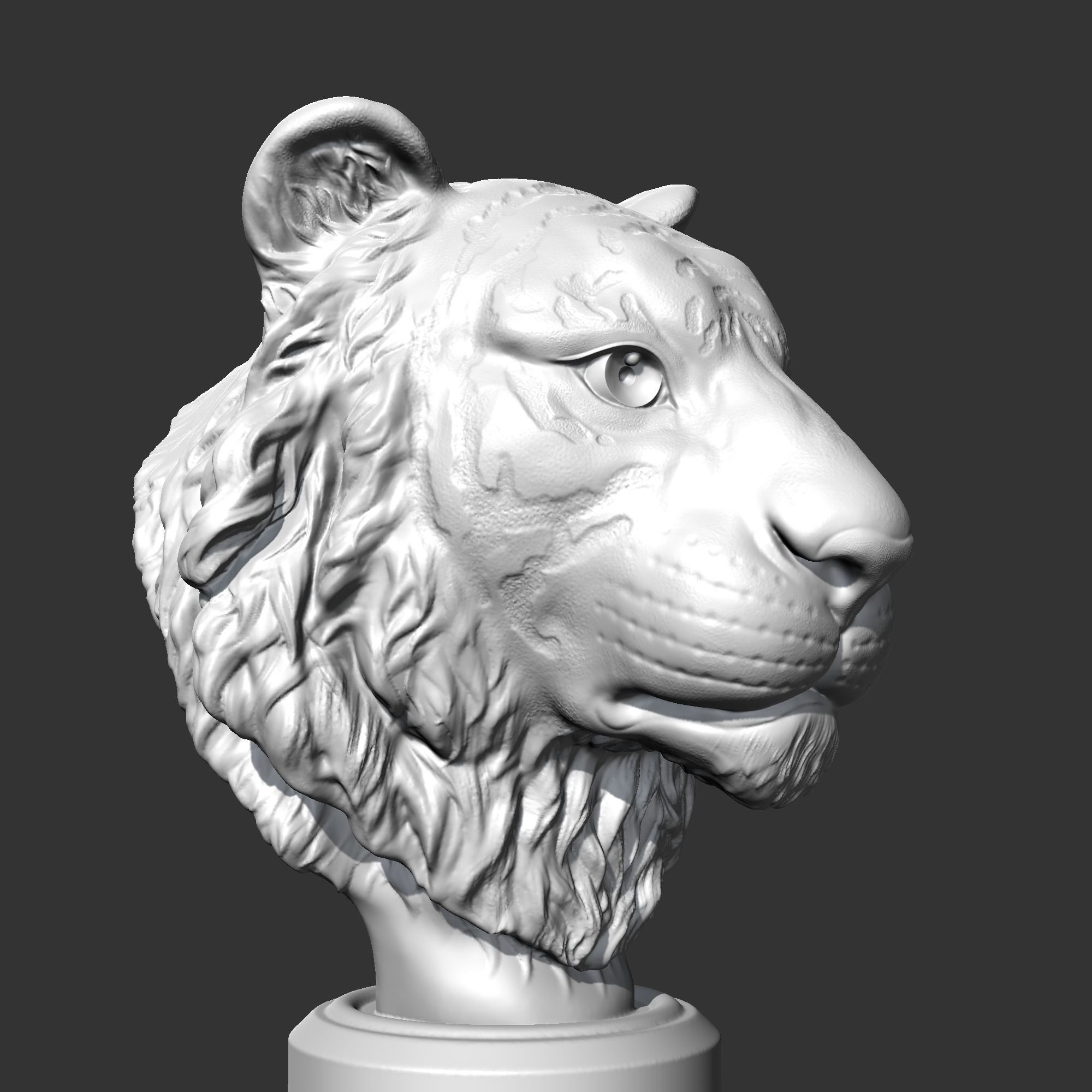 Tiger Head AM16 3D print model 3D print model_8