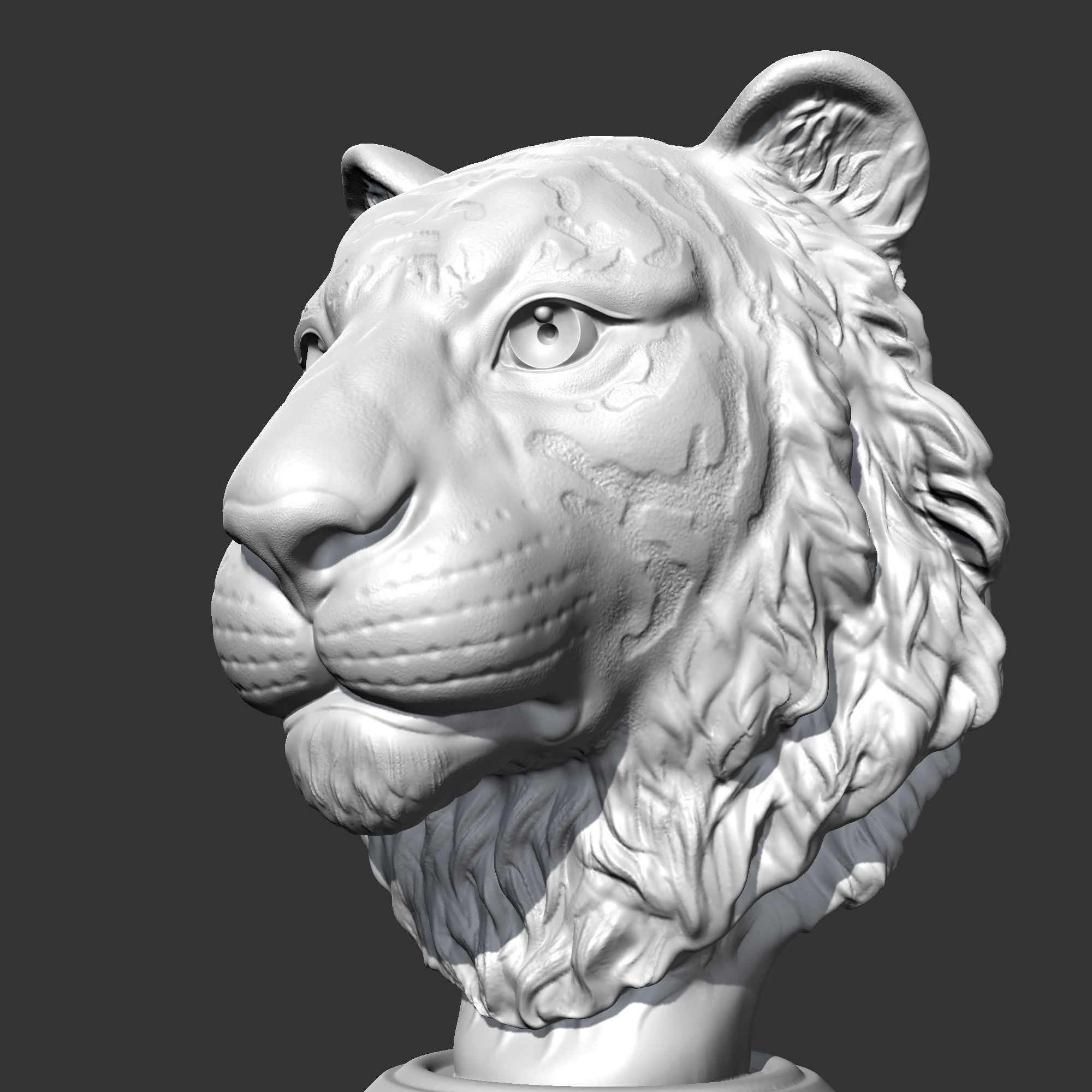 Tiger Head AM16 3D print model 3D print model_3