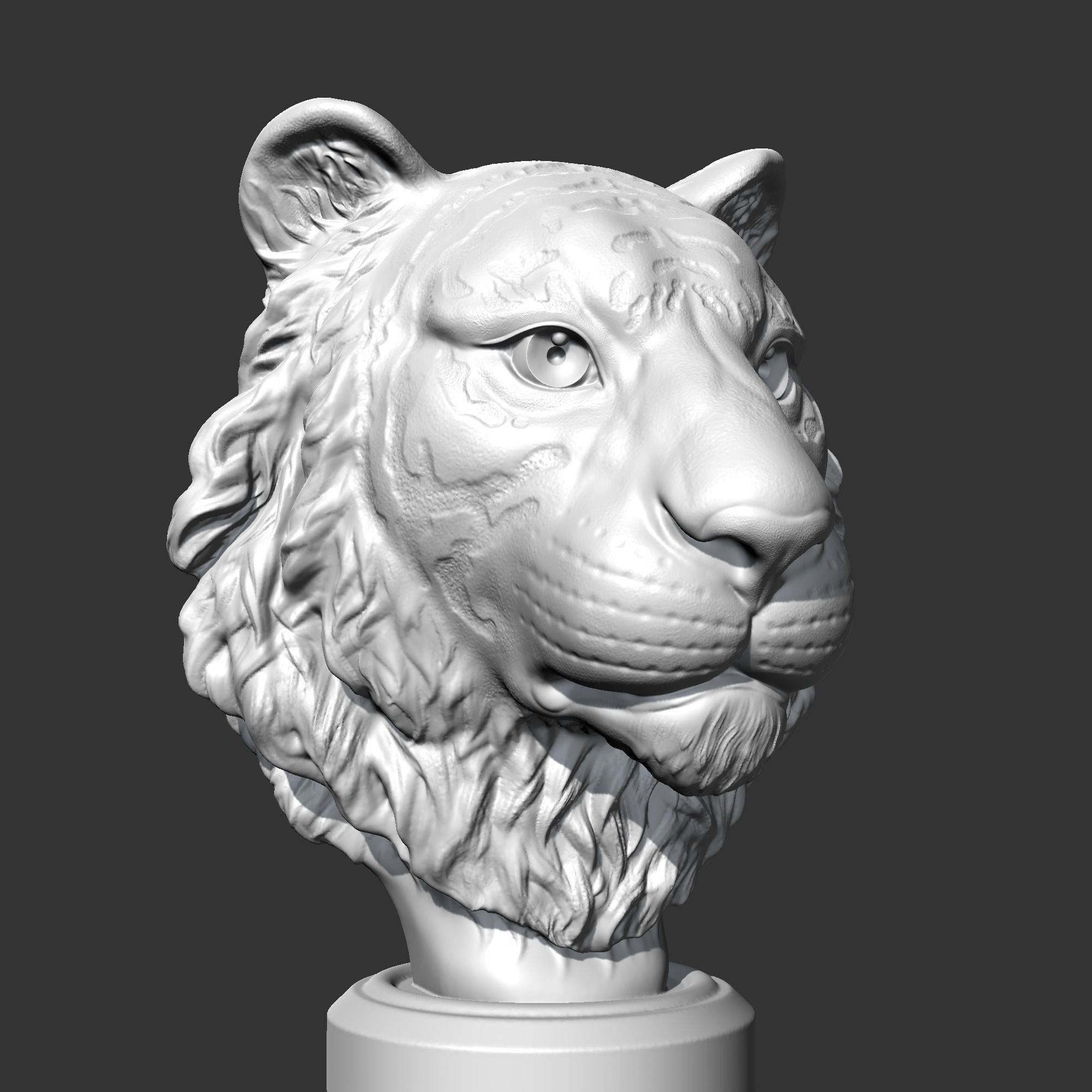 Tiger Head AM16 3D print model 3D print model_9