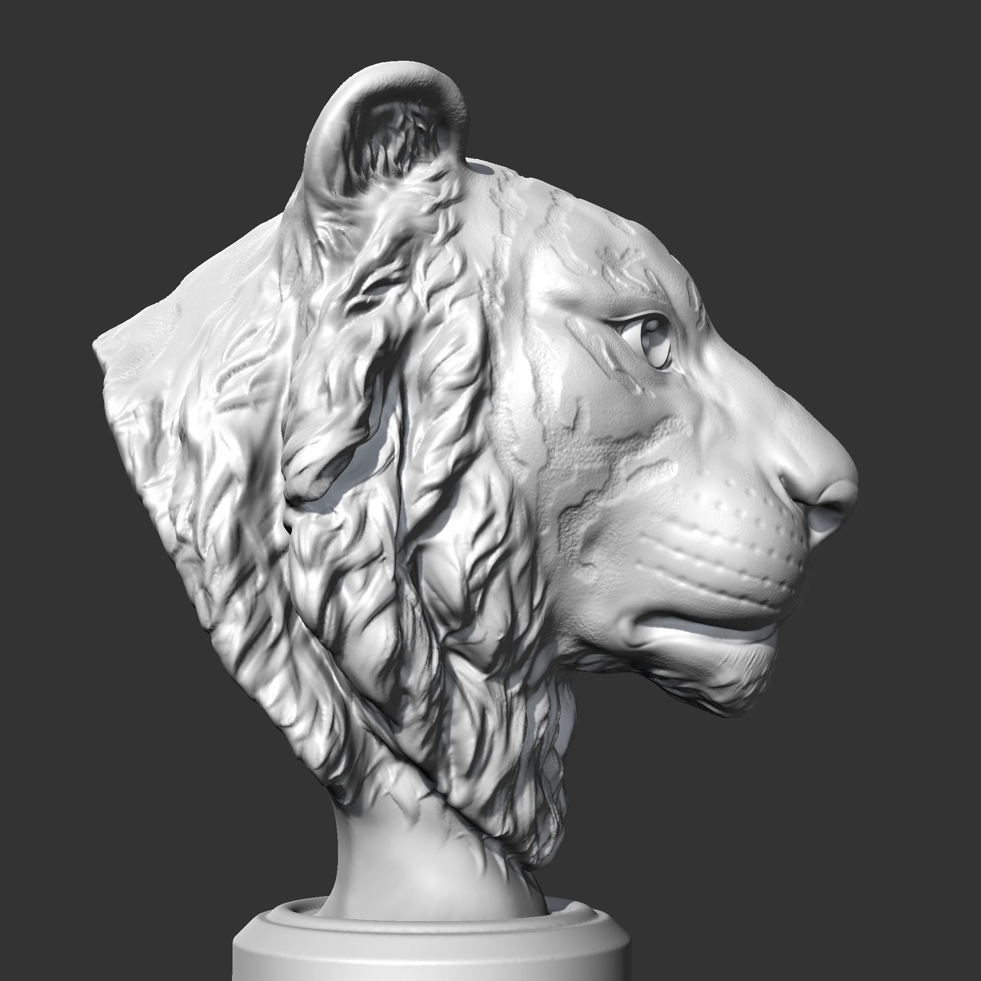 Tiger Head AM16 3D print model 3D print model_7
